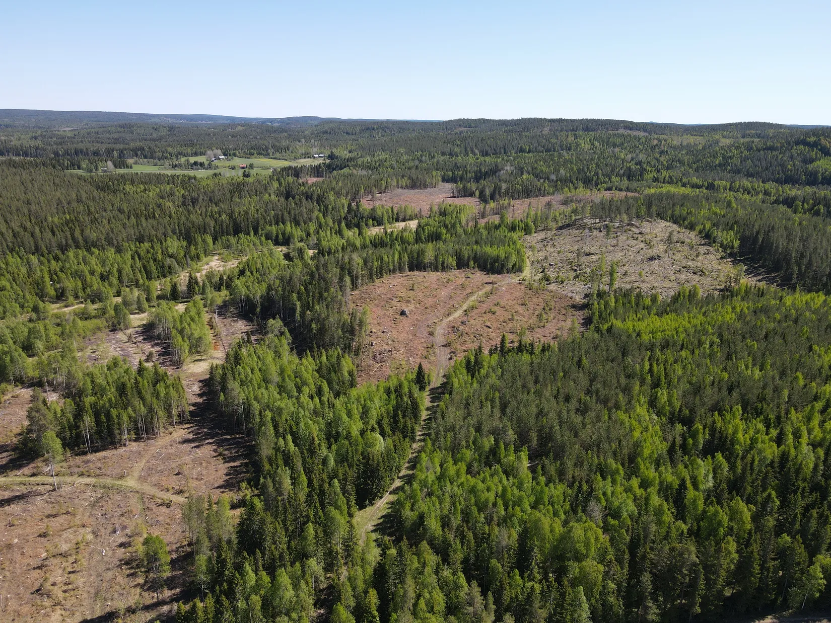 Gård/Skog, ROBERTSFORS STORRÖDNINGSBERG 1:5, Robertsfors