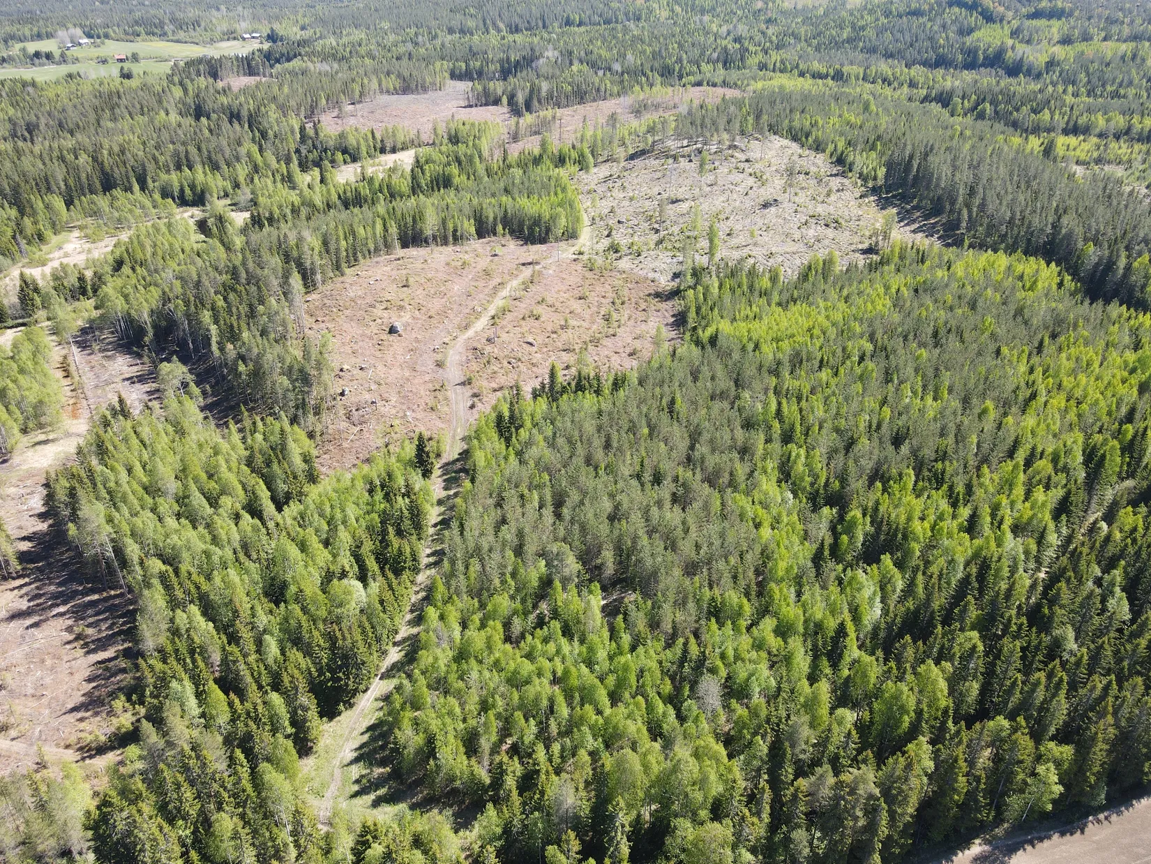Gård/Skog, ROBERTSFORS STORRÖDNINGSBERG 1:5, Robertsfors