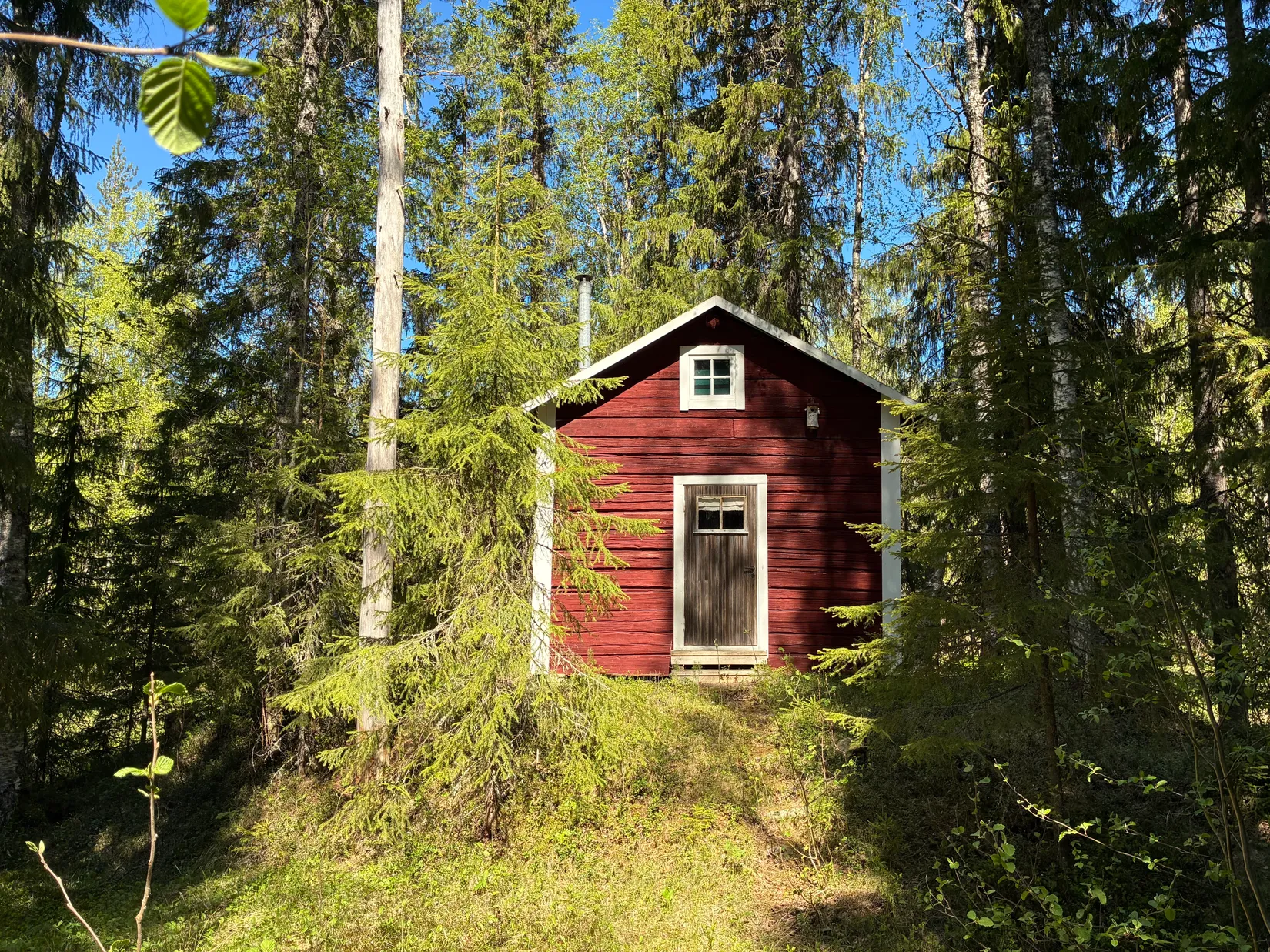 Gård/Skog, ROBERTSFORS STORRÖDNINGSBERG 1:5, Robertsfors