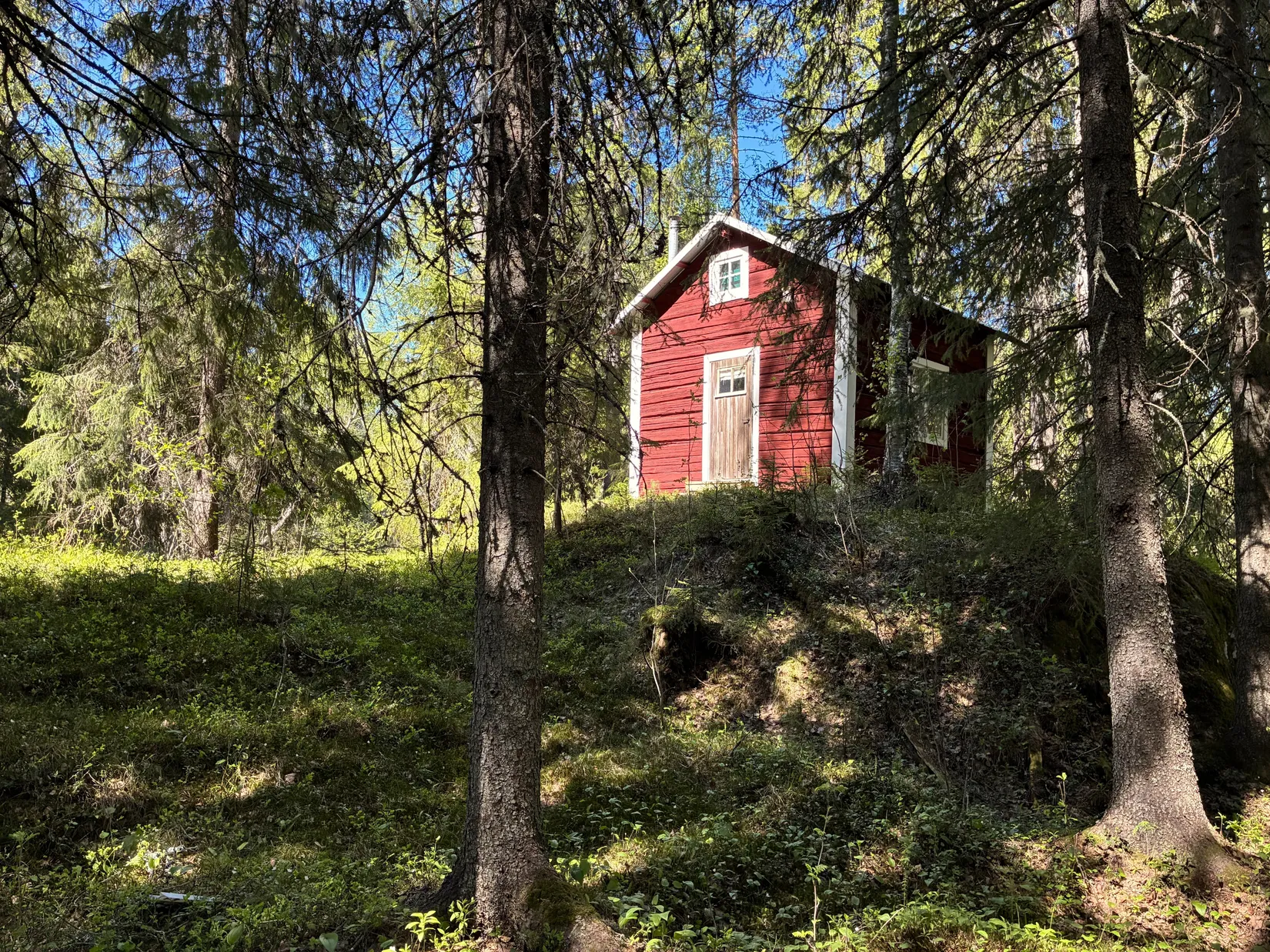 Gård/Skog, ROBERTSFORS STORRÖDNINGSBERG 1:5, Robertsfors