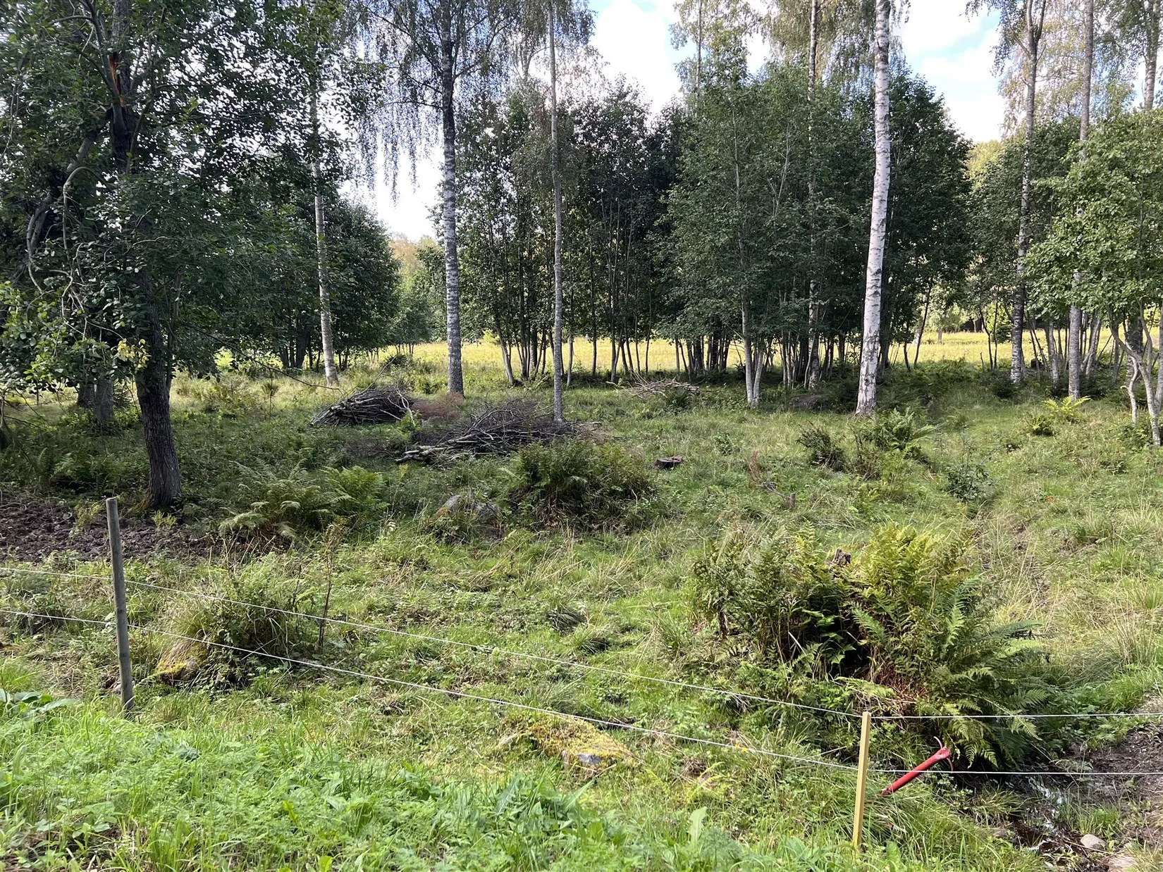 Tomt, Pråmviken 103, Björkön/Rumpan, Sundsvall