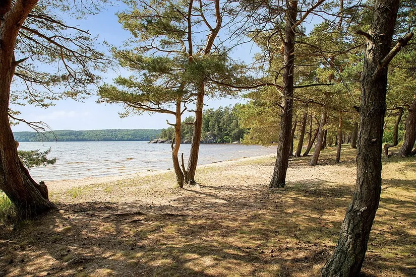 Villa, Mosippevägen 1, Sätila, Mark