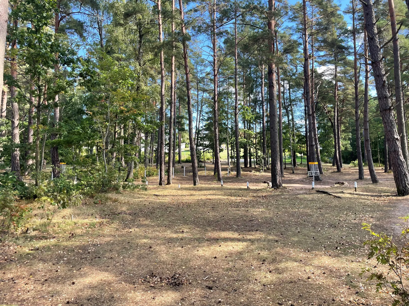 Villa, Mosippevägen 1, Sätila, Mark
