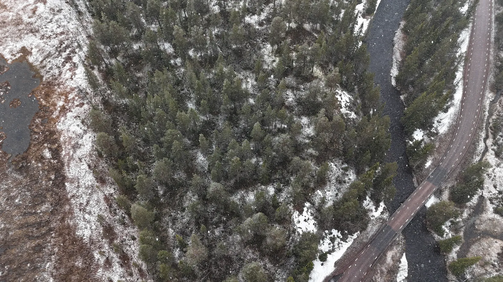 Gård/Skog, Storbäcken, Storbäcken, Älvdalen