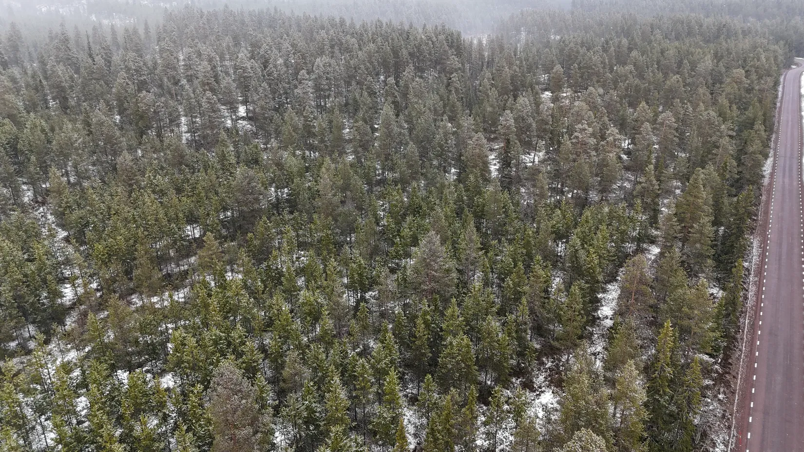 Gård/Skog, Storbäcken, Storbäcken, Älvdalen