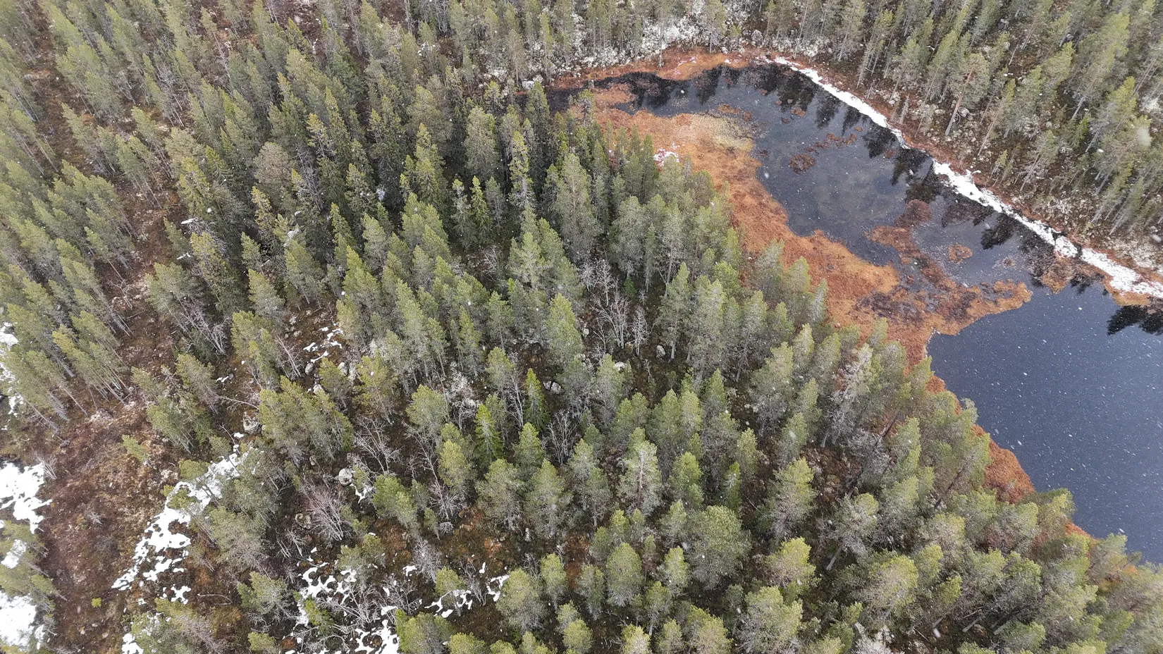 Gård/Skog, Storbäcken, Storbäcken, Älvdalen