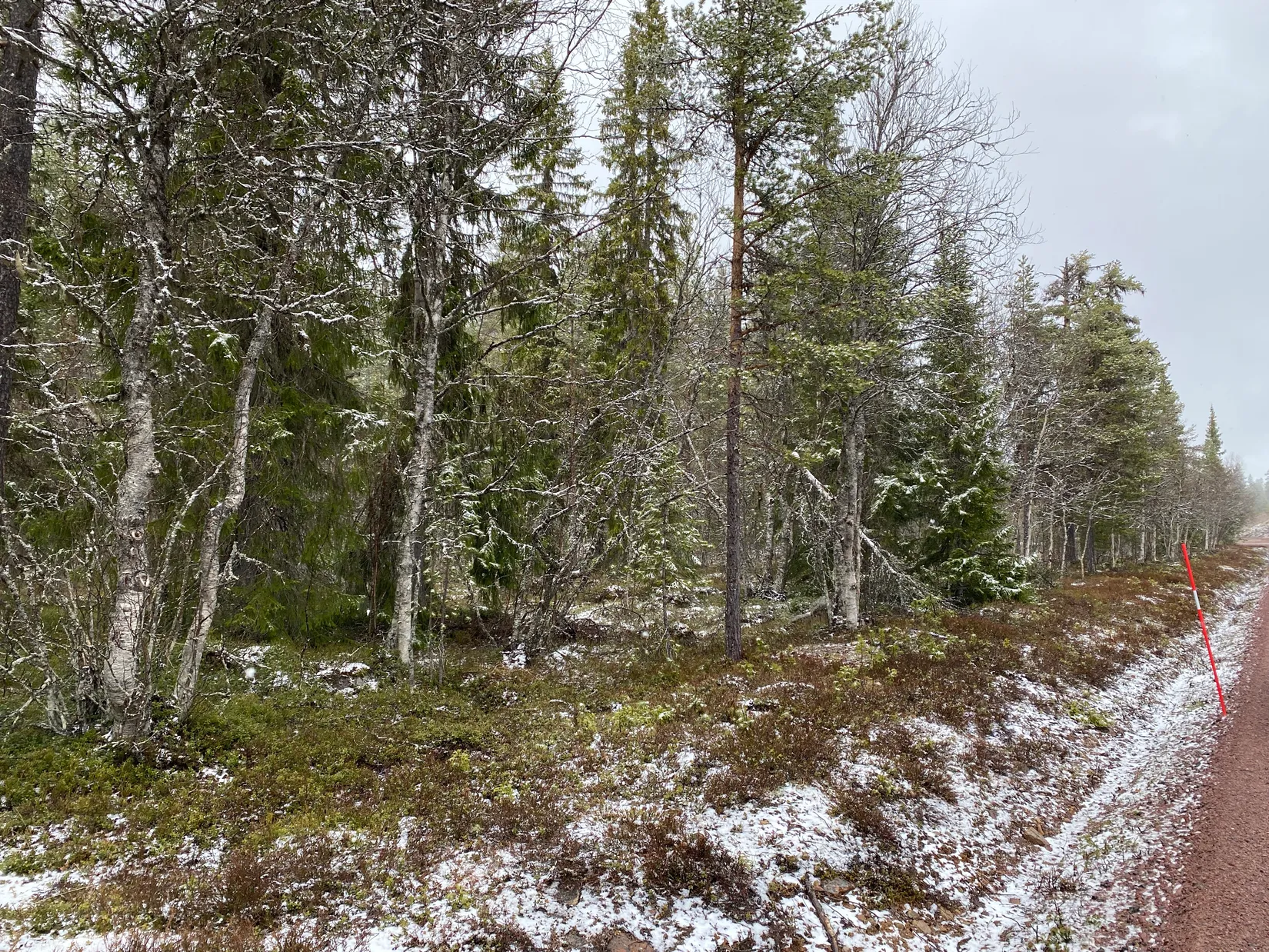 Gård/Skog, Storbäcken, Storbäcken, Älvdalen