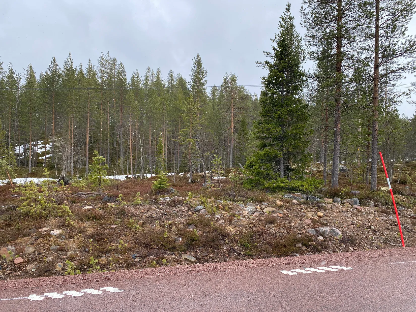 Gård/Skog, Storbäcken, Storbäcken, Älvdalen