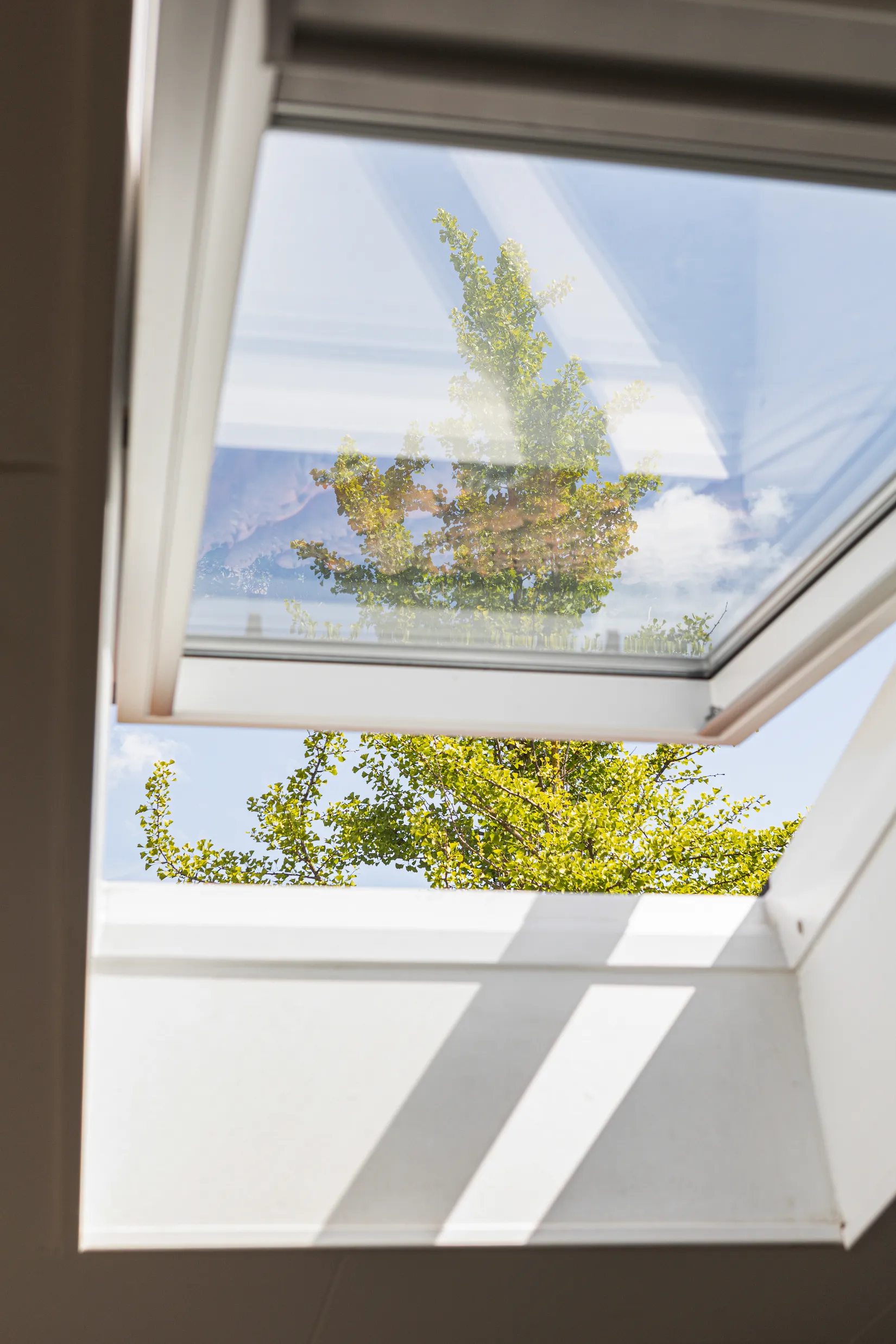 Villa, Radhus, Möllevångsvägen 87, Möllevången, Lund