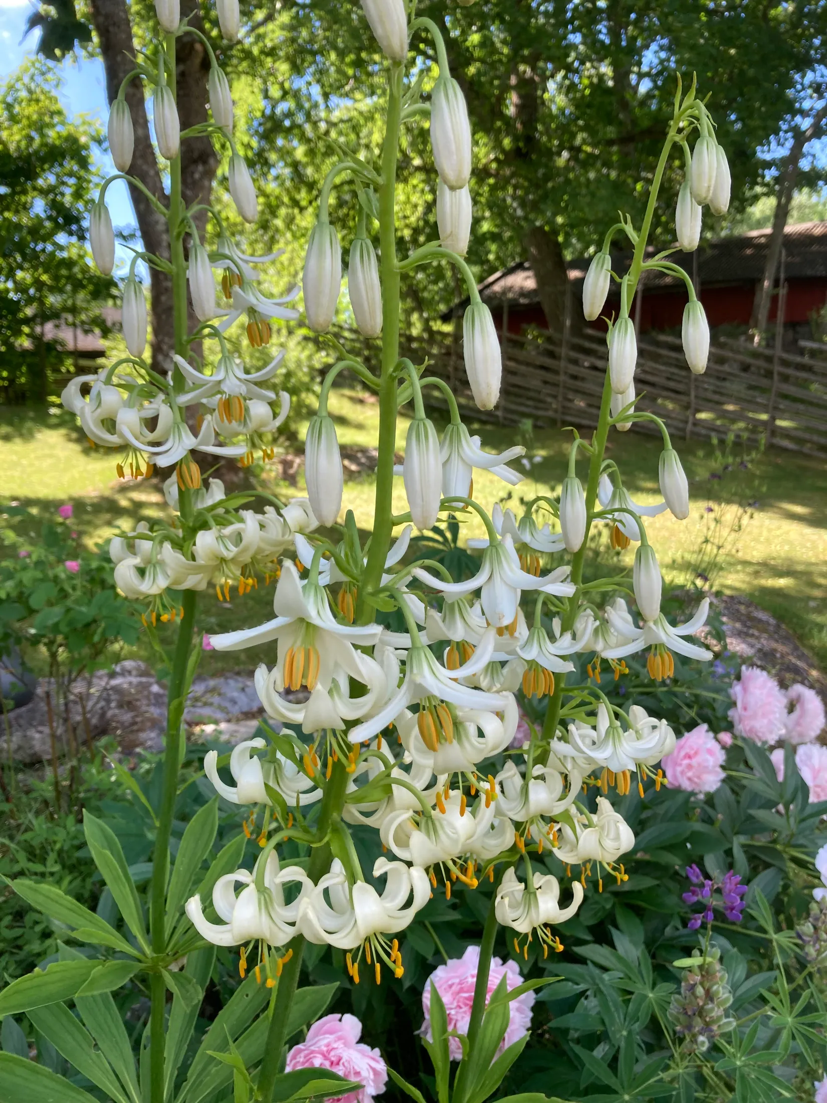 Fritidshus, Håknäsvägen 143, Vätö, Norrtälje