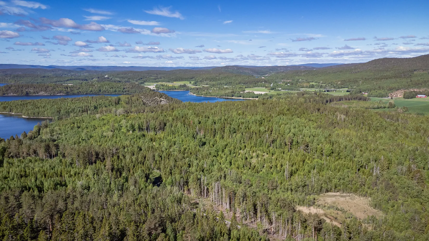Gård/Skog, KRAMFORS ROSSVIK 6:8, Kramfors