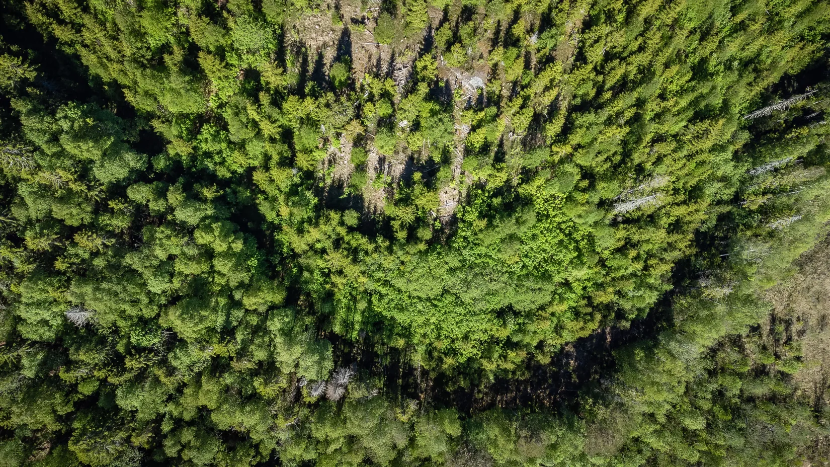 Gård/Skog, KRAMFORS ROSSVIK 6:8, Kramfors