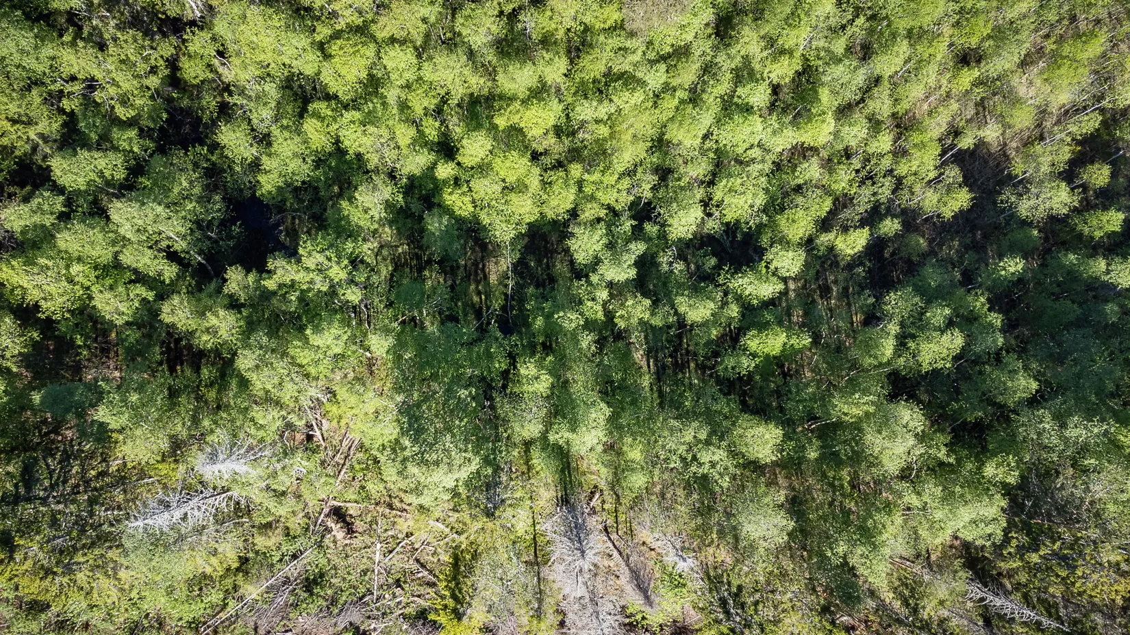 Gård/Skog, KRAMFORS ROSSVIK 6:8, Kramfors