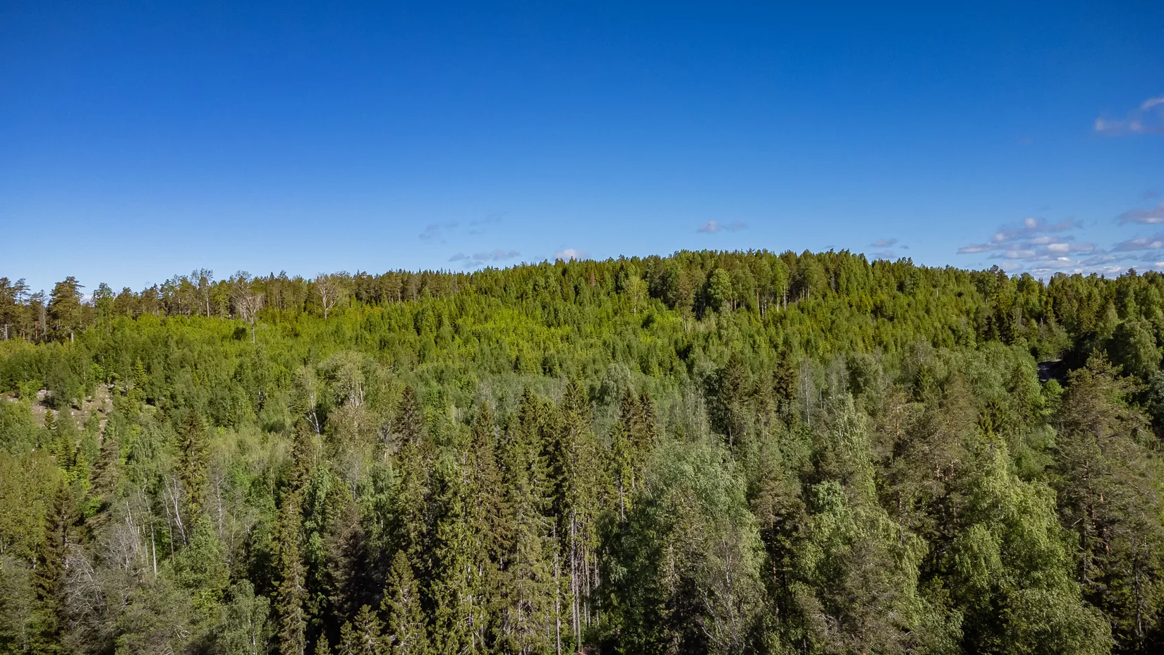 Gård/Skog, KRAMFORS ROSSVIK 6:8, Kramfors