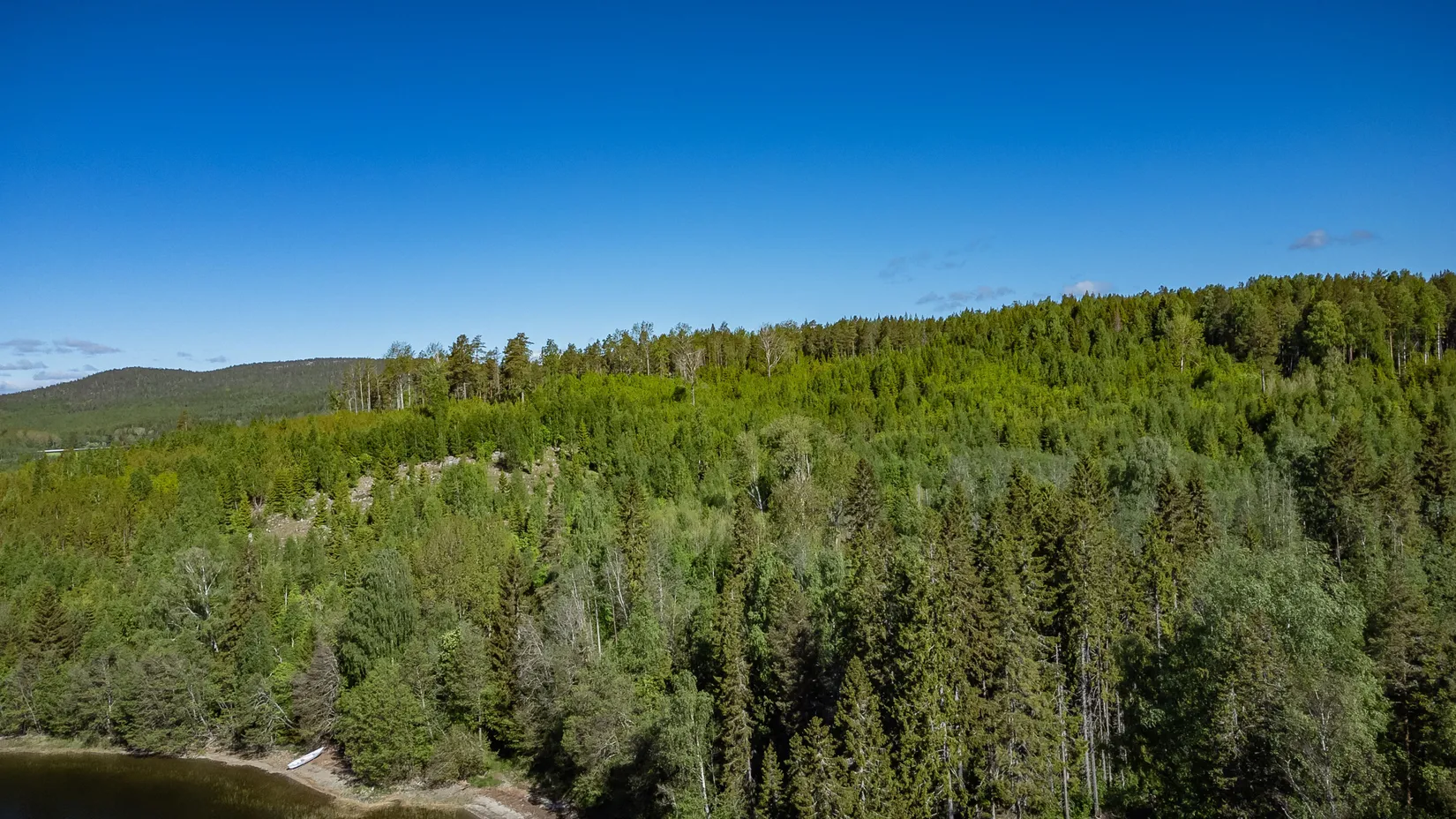 Gård/Skog, KRAMFORS ROSSVIK 6:8, Kramfors