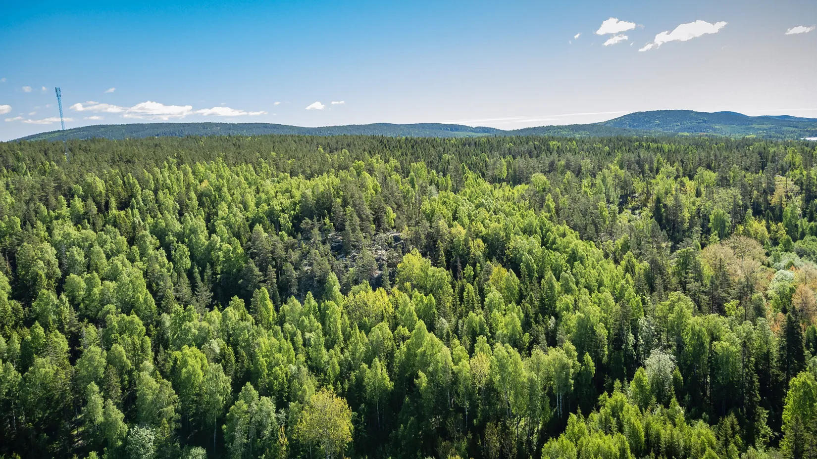 Gård/Skog, KRAMFORS ROSSVIK 6:8, Kramfors