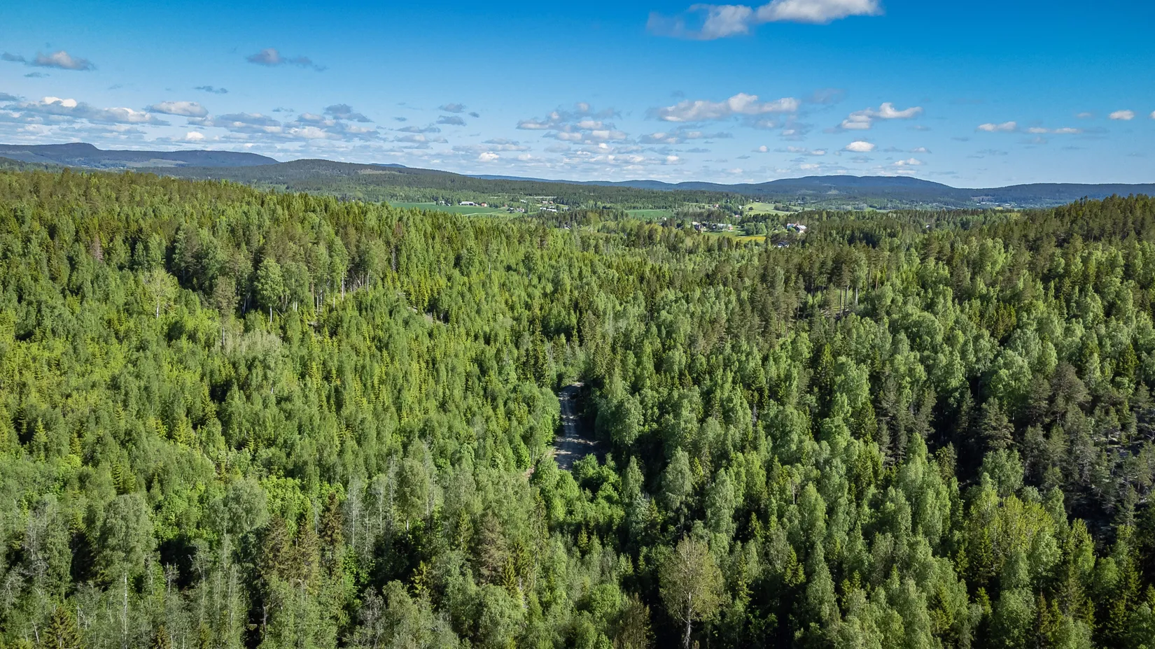 Gård/Skog, KRAMFORS ROSSVIK 6:8, Kramfors