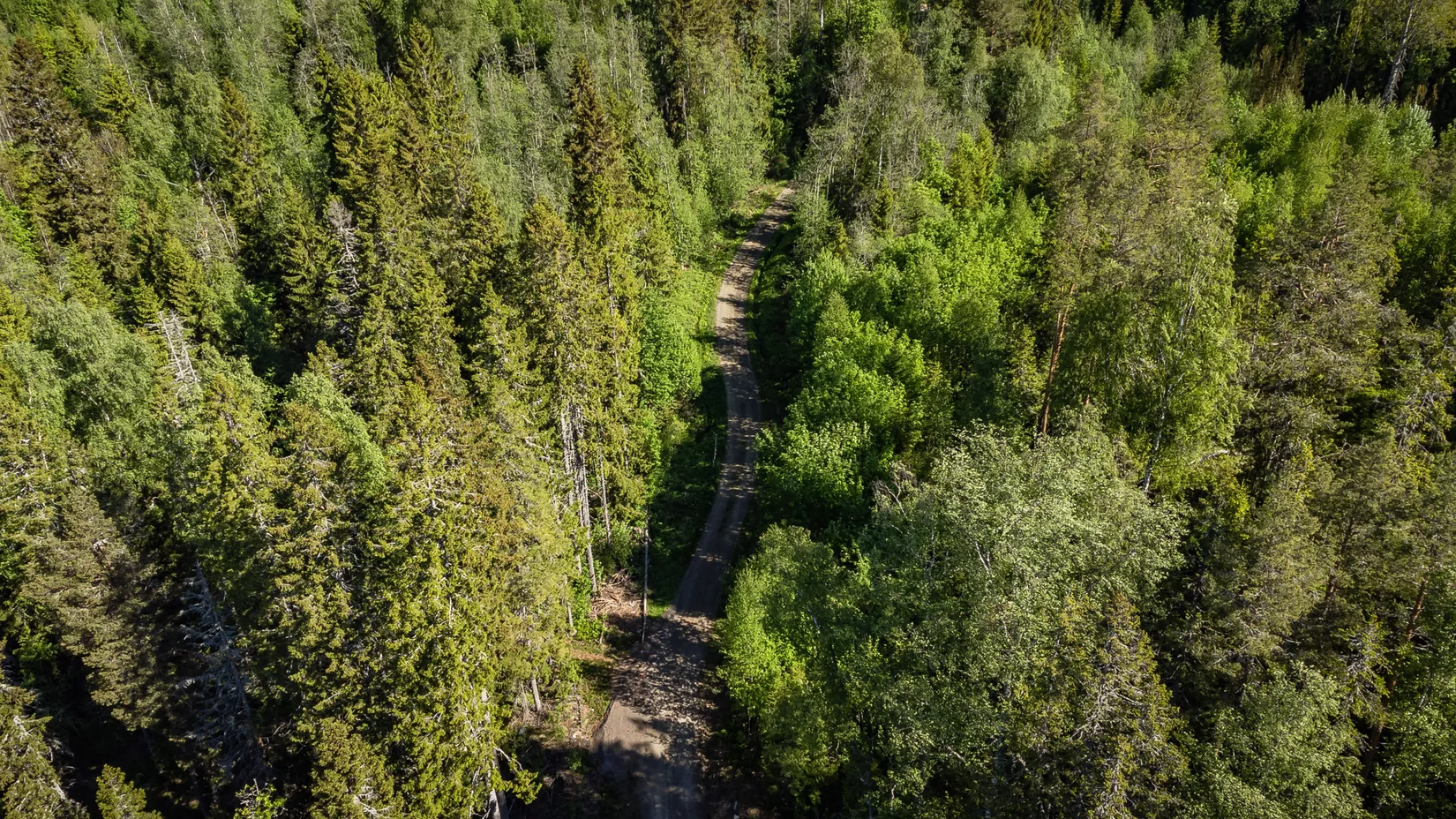 Gård/Skog, KRAMFORS ROSSVIK 6:8, Kramfors