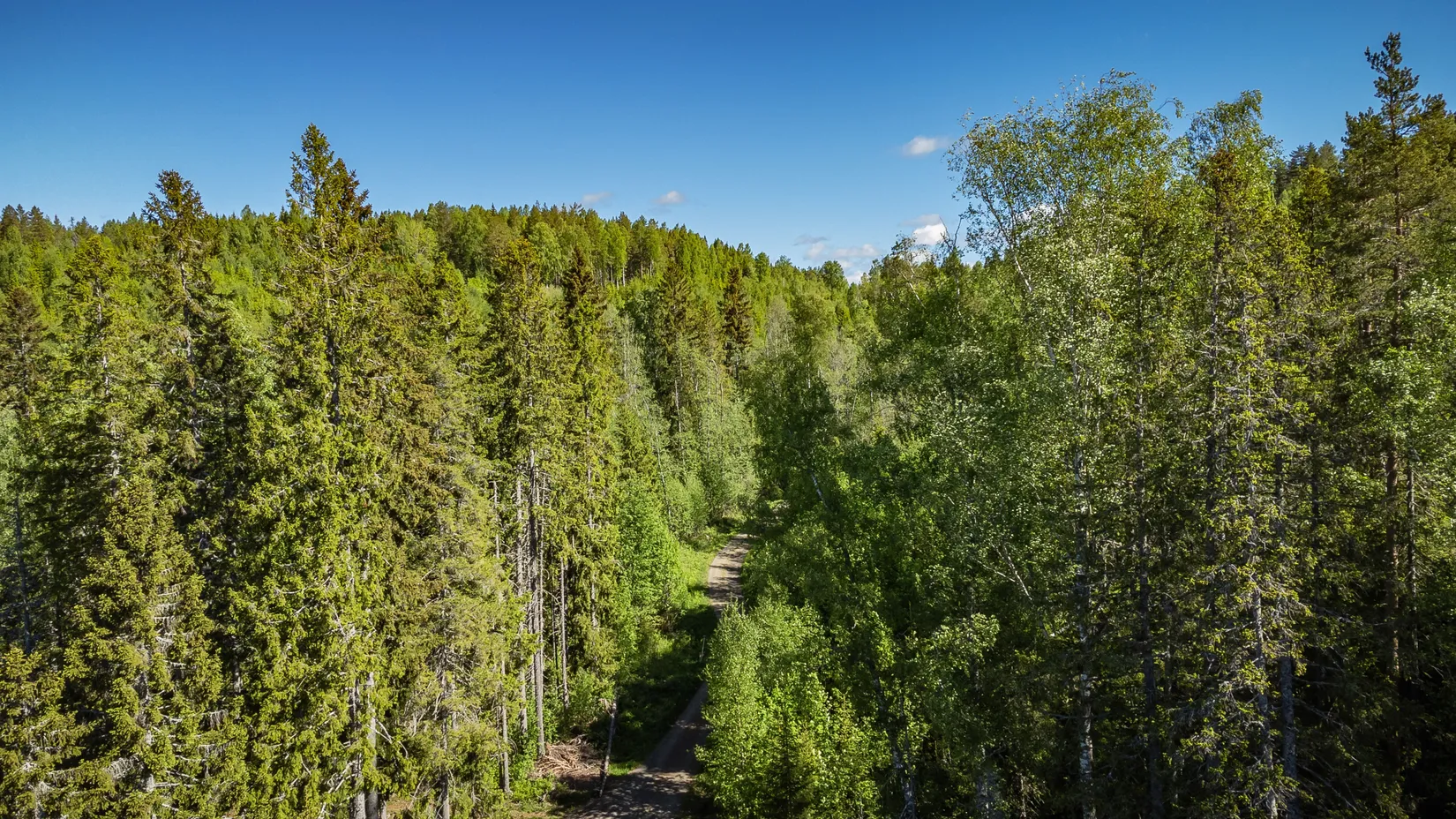 Gård/Skog, KRAMFORS ROSSVIK 6:8, Kramfors