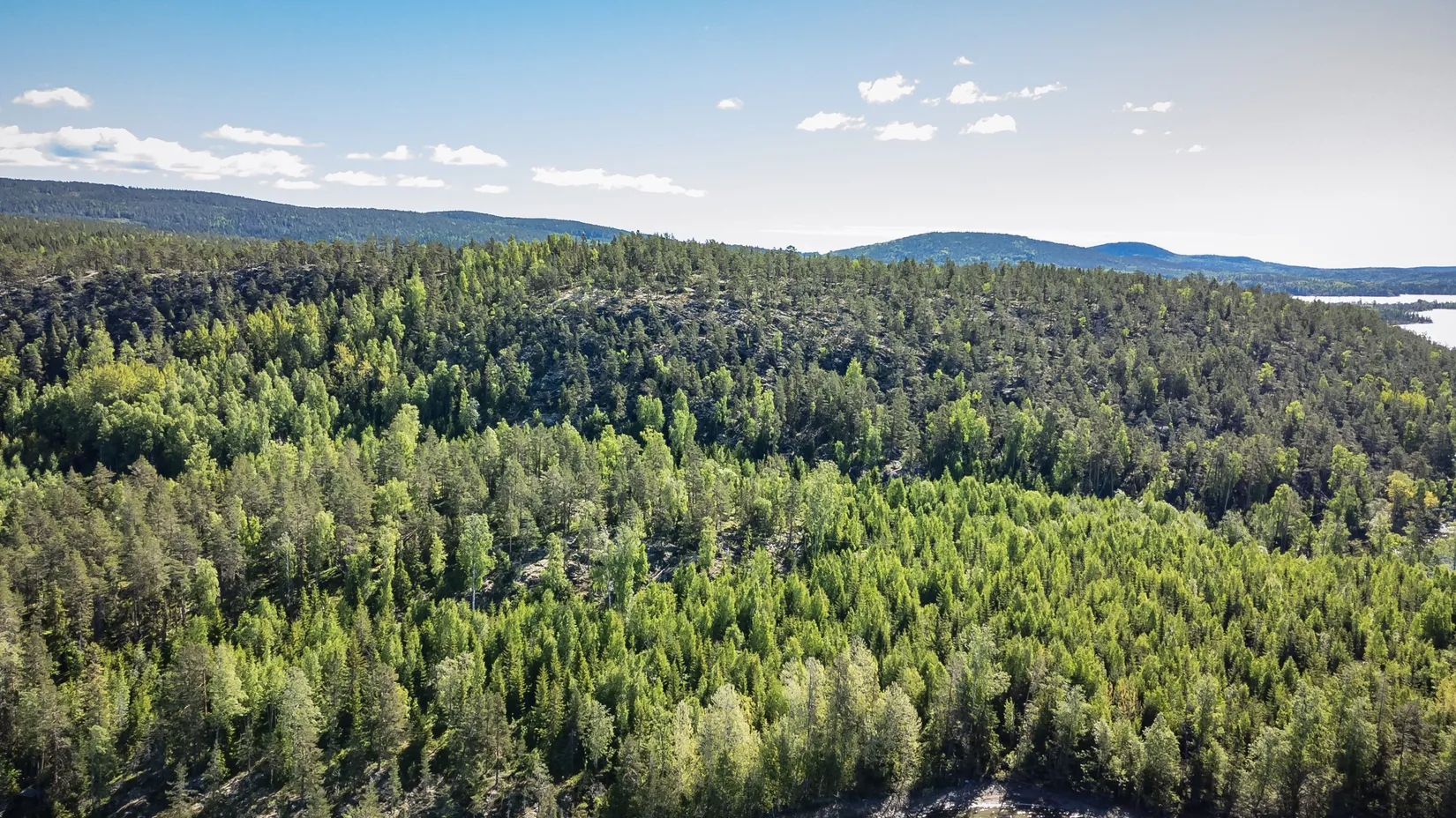 Gård/Skog, KRAMFORS ROSSVIK 6:8, Kramfors