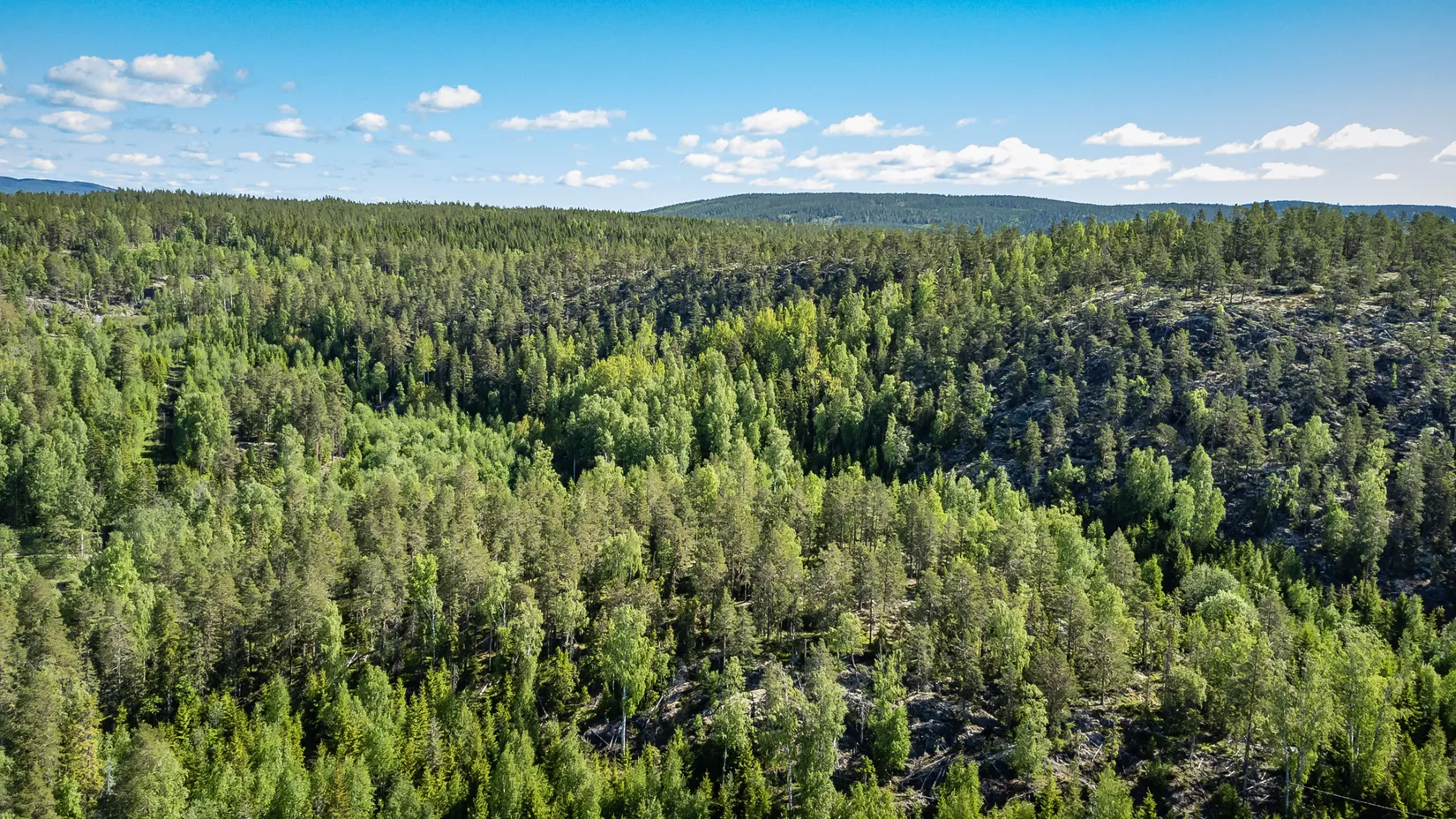 Gård/Skog, KRAMFORS ROSSVIK 6:8, Kramfors