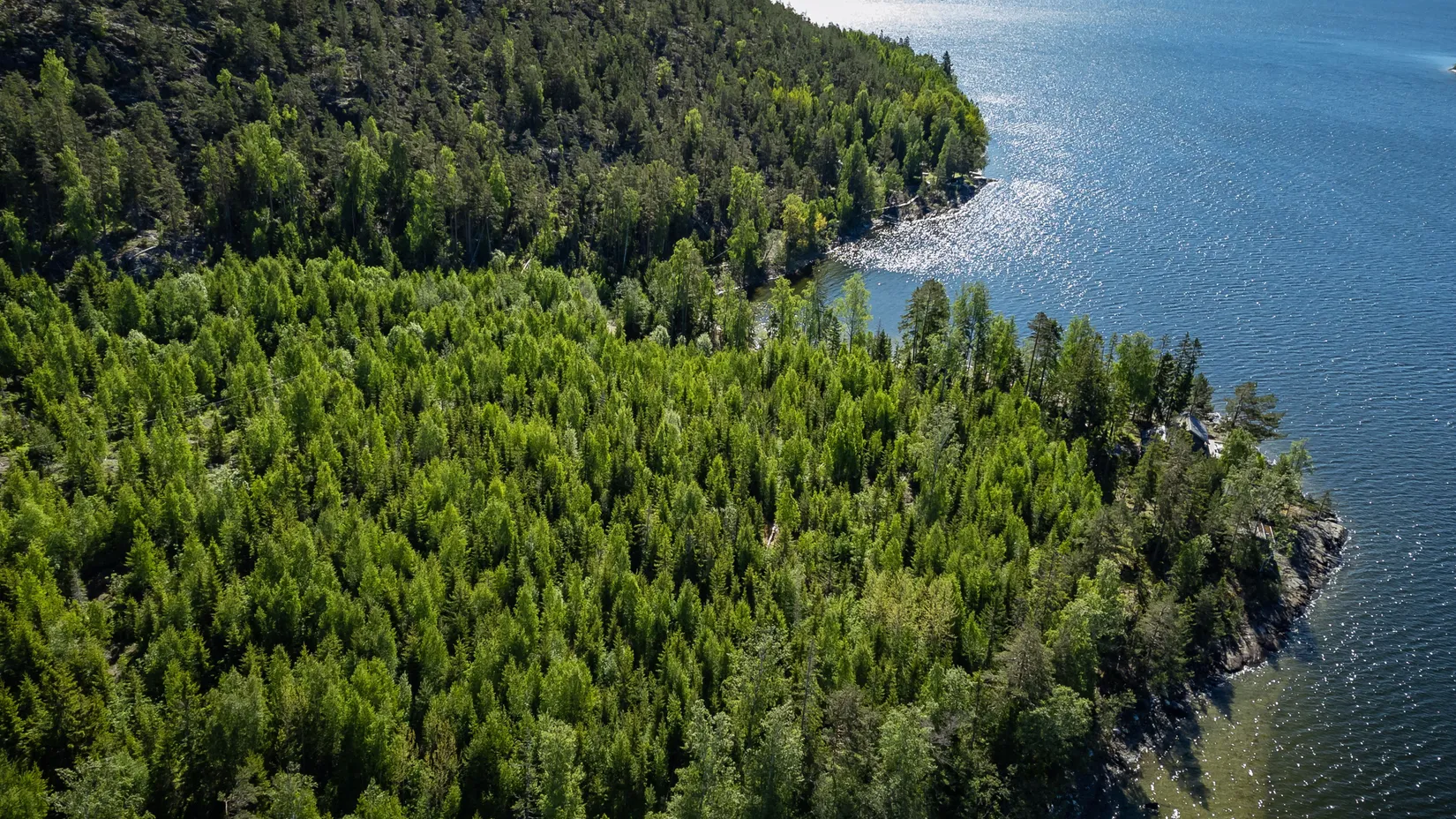 Gård/Skog, KRAMFORS ROSSVIK 6:8, Kramfors