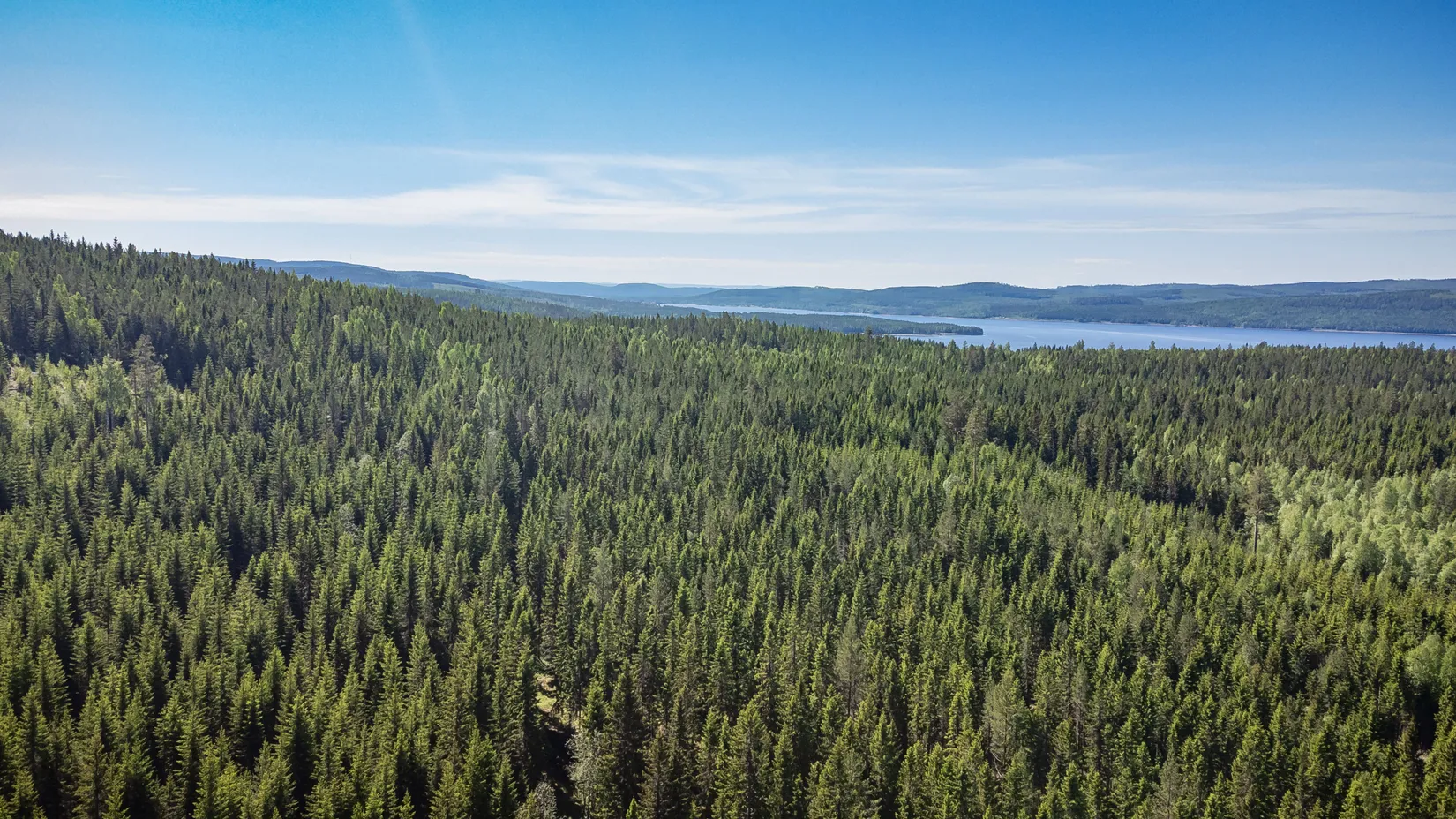 Gård/Skog, Del av ÅNGE LERINGEN 1:97 (Skogen), Ånge