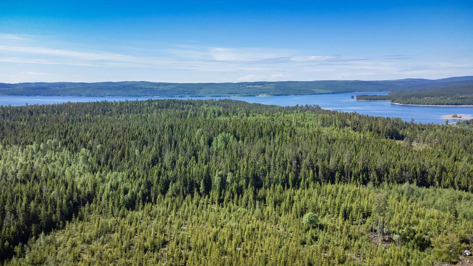 Gård/Skog, Del av ÅNGE LERINGEN 1:97 (Skogen), Ånge