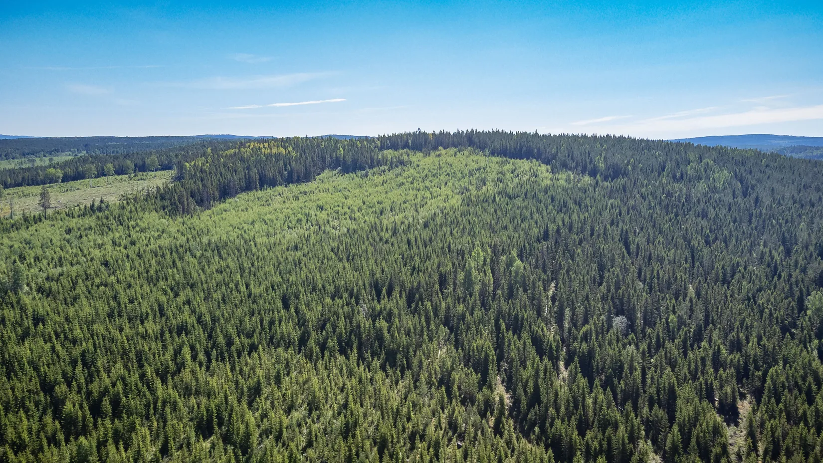 Gård/Skog, Del av ÅNGE LERINGEN 1:97 (Skogen), Ånge