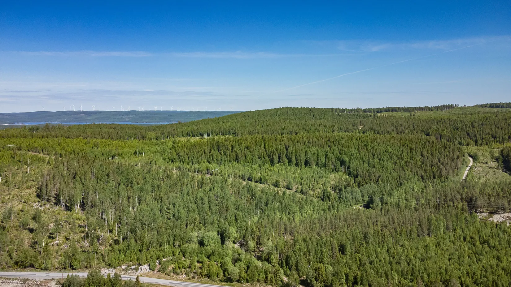 Gård/Skog, Del av ÅNGE LERINGEN 1:97 (Skogen), Ånge