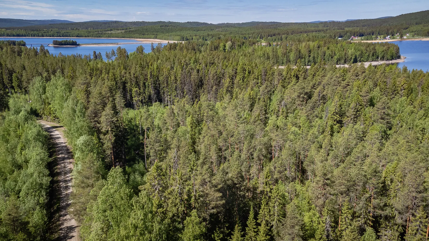 Gård/Skog, Del av ÅNGE LERINGEN 1:97 (Skogen), Ånge