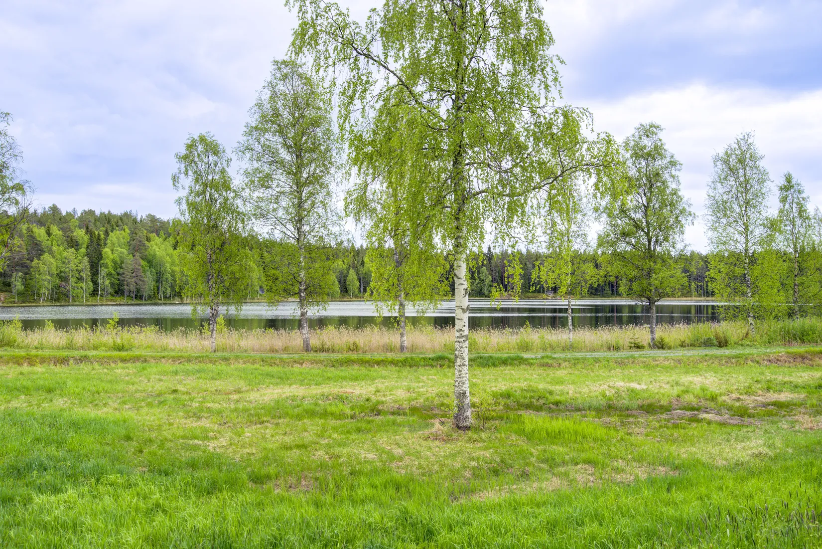 Villa, Grubbedalsvägen 8, Skellefteå