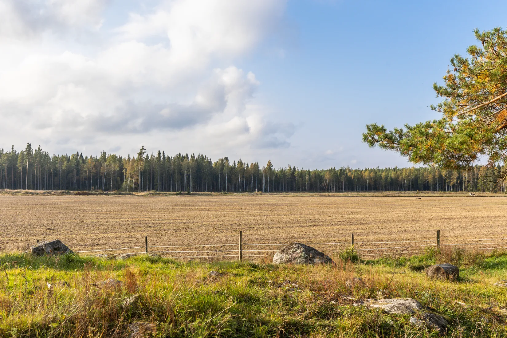 Villa, Visnum Nyäng 1, Visnum, Kristinehamn