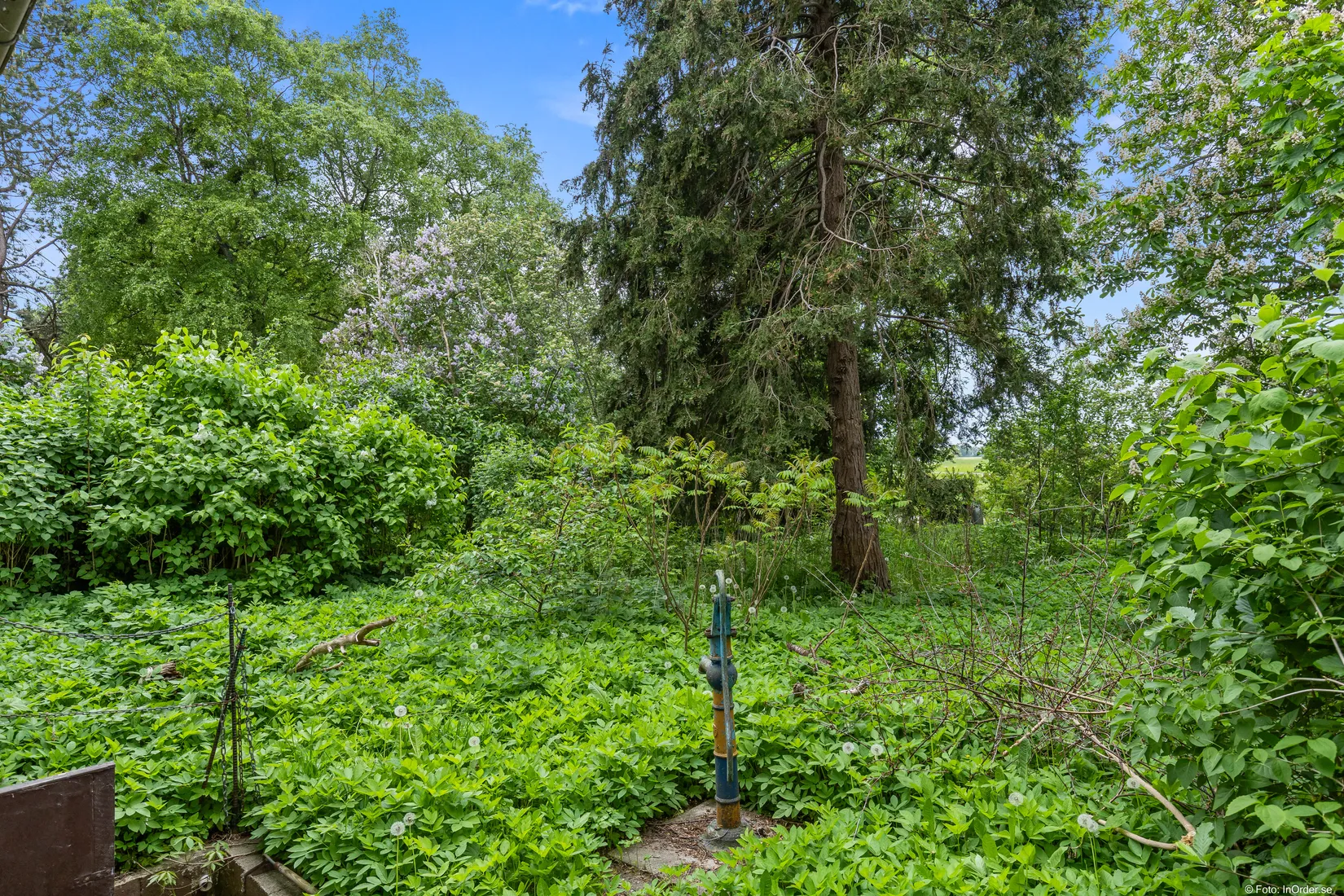 Villa, Skolgatan 13, Vollsjö by, Sjöbo