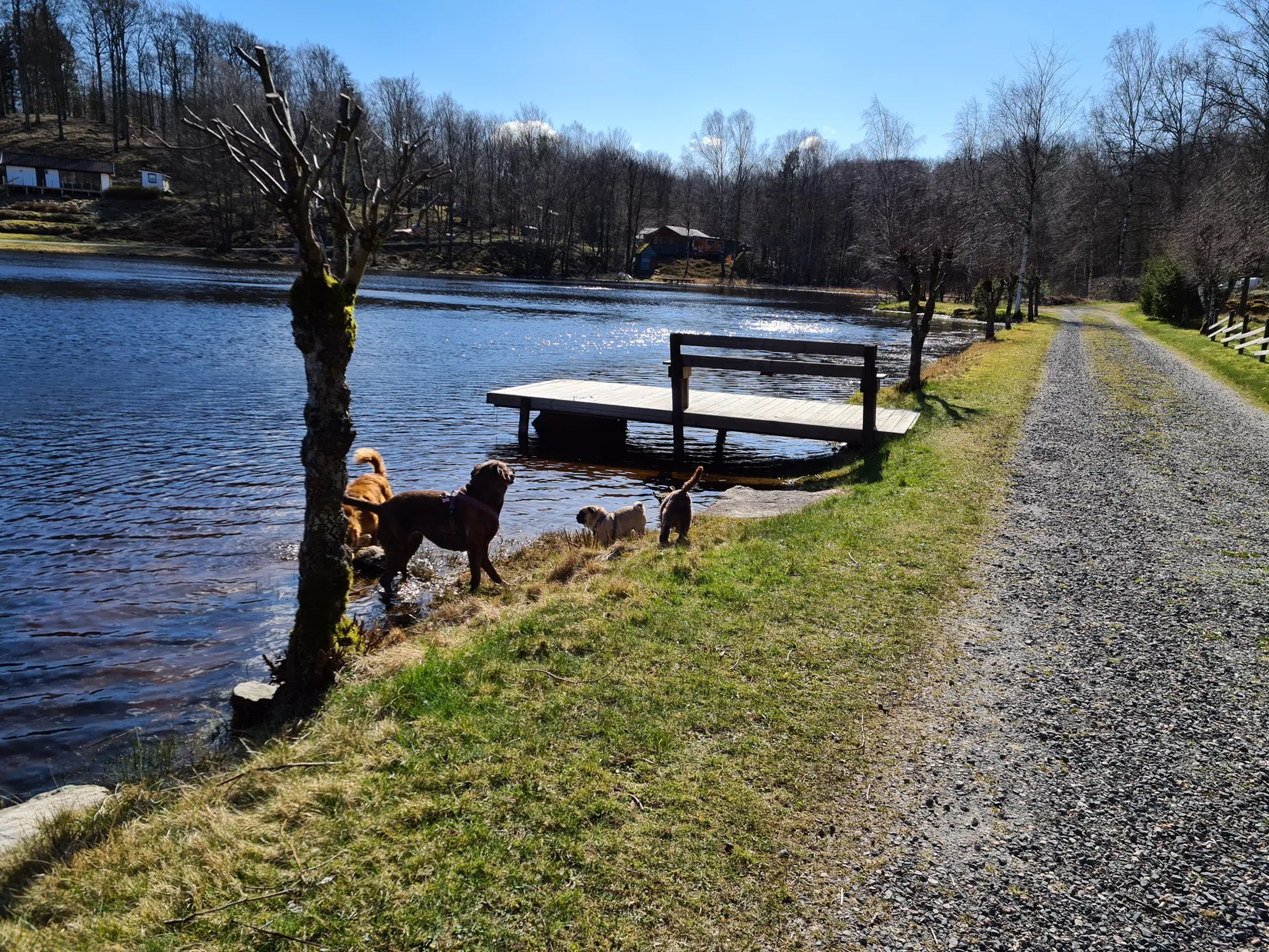 Fritidshus, Lindhaga 23, Lindhaga, Höör
