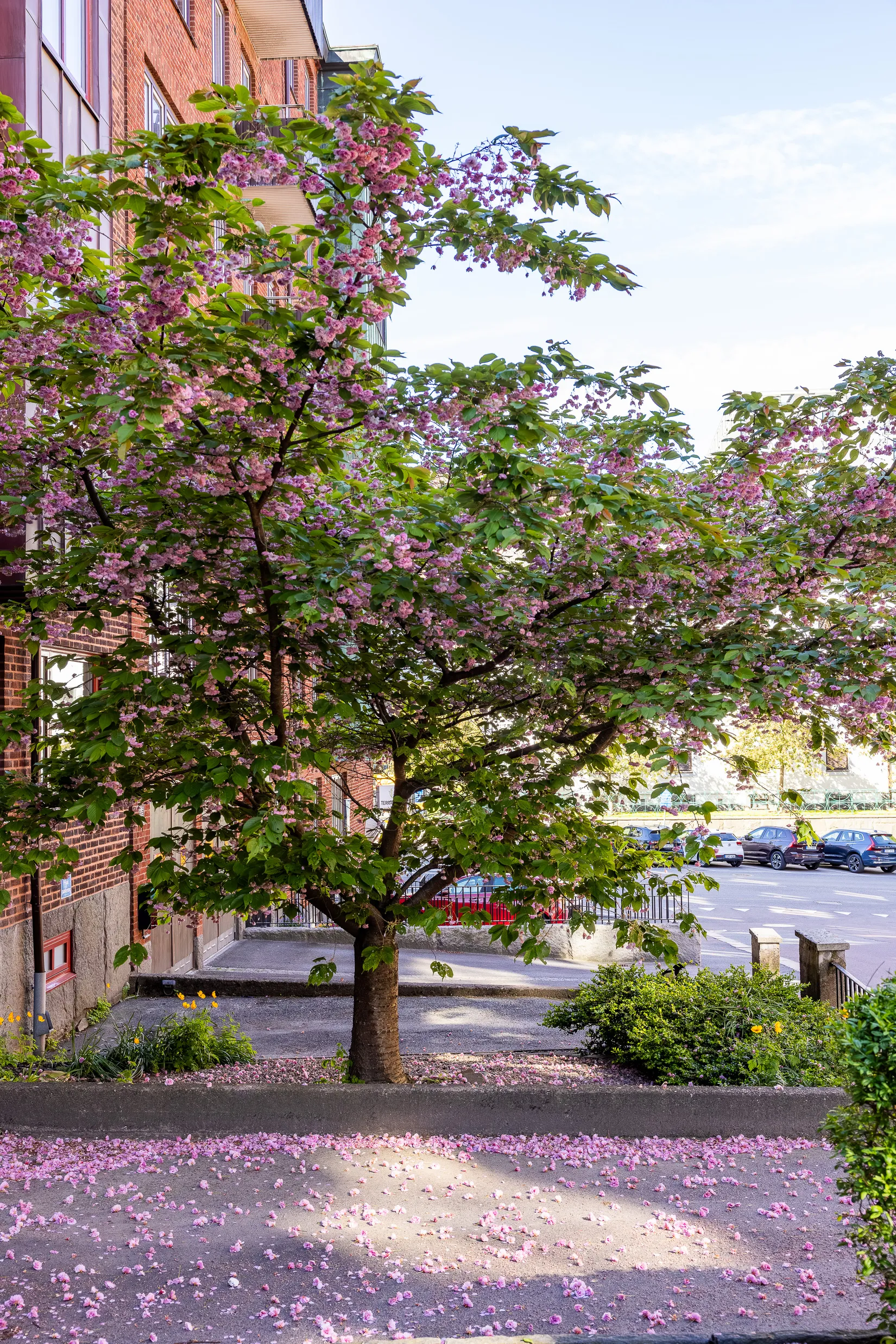 Bostadsrätt, Vidblicksgatan 1, Nedre johanneberg, Göteborg
