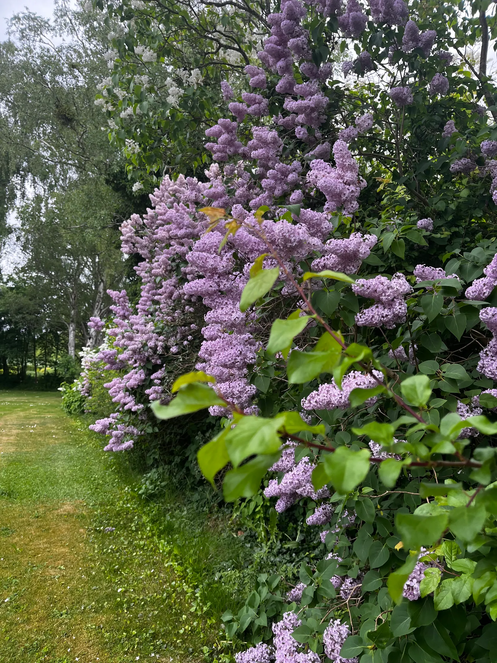 Villa, Stinsvägen 59, Skivarp, Skurup