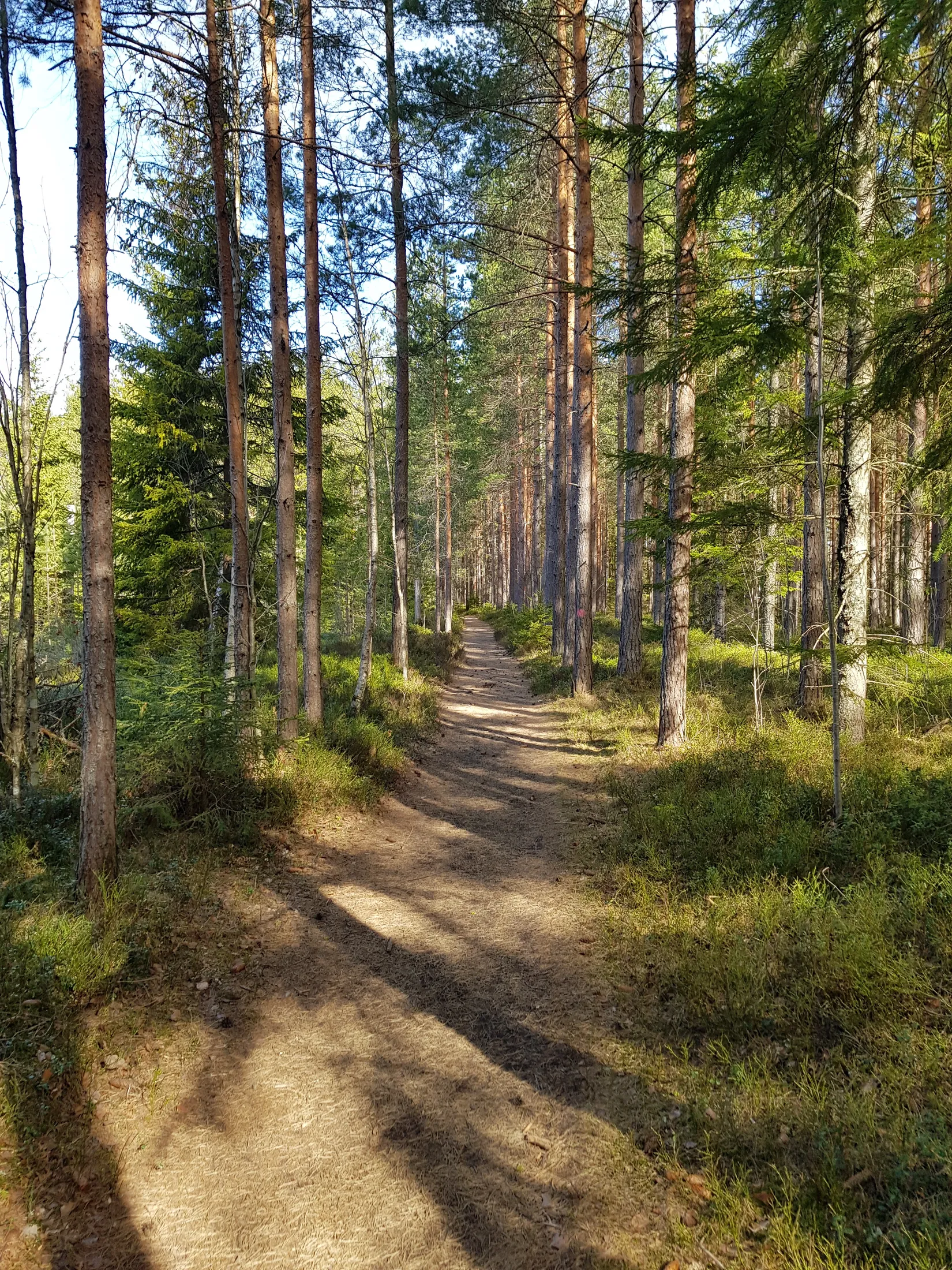Villa, Ferievägen 13, Klockhammar ( 5 km från Närkes kil), Örebro