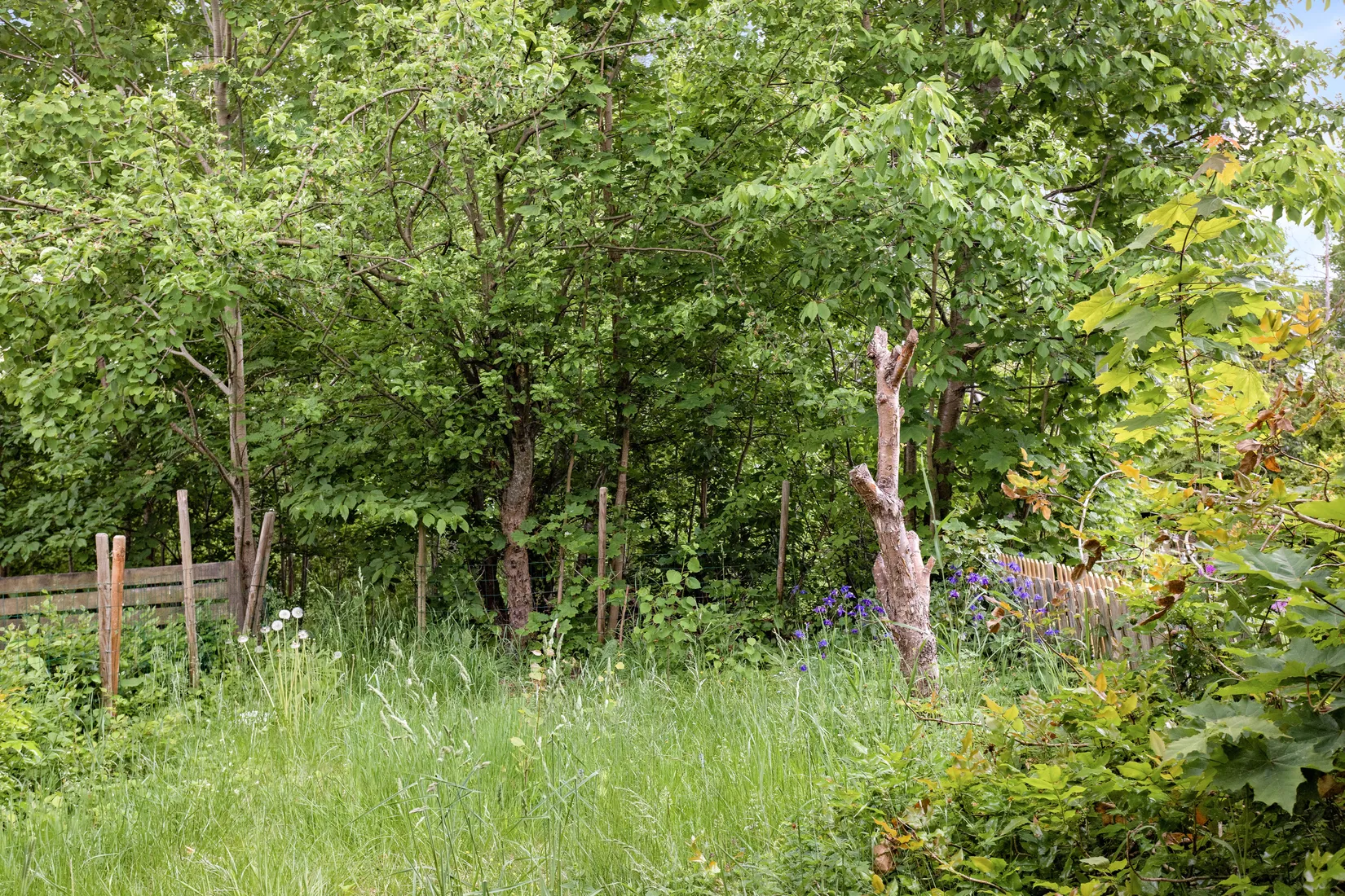 Bostadsrätt, Radhus, Forellgränd 50, Viksjö Hummelmora, Järfälla