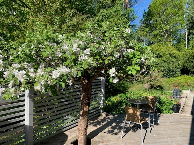Villa, Dalvägen 85, Ella Park, Täby