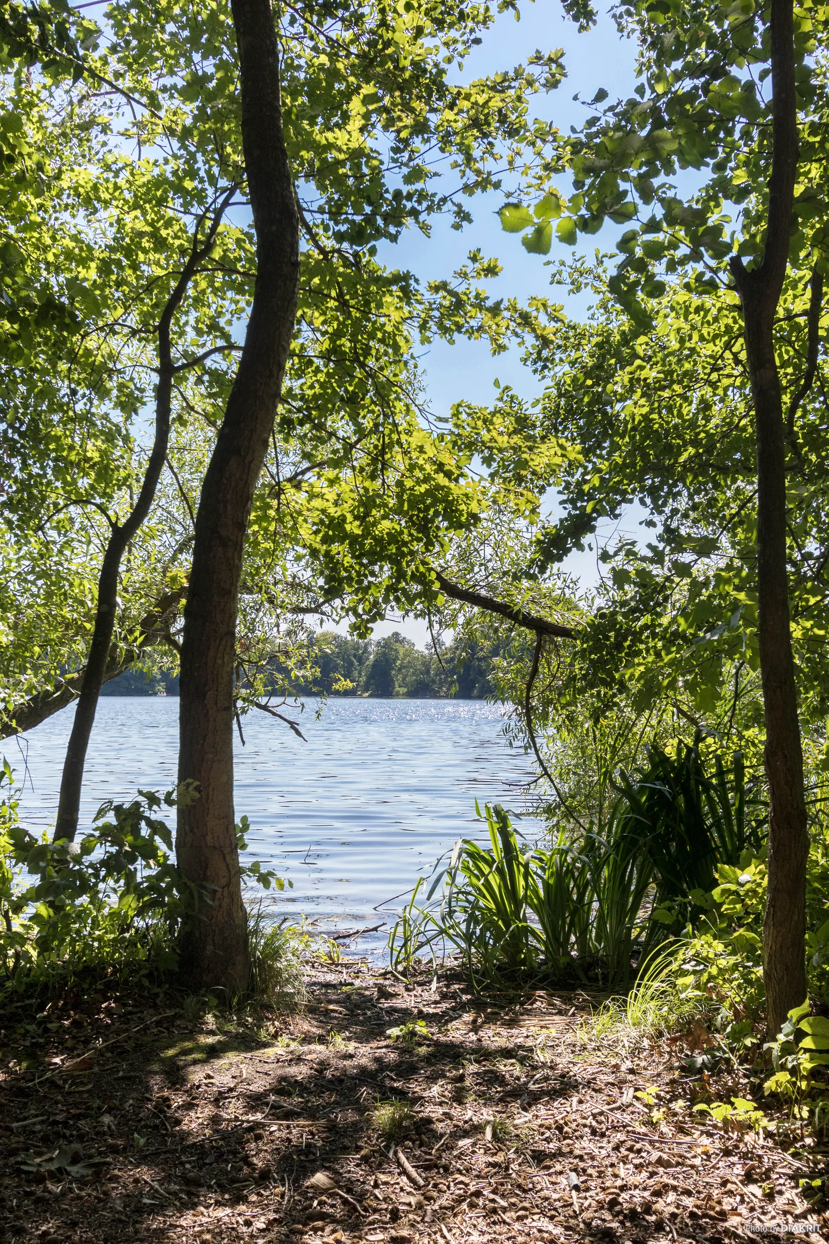Fritidshus, Rosencrantzvägen 18, Gyllebo, Simrishamn