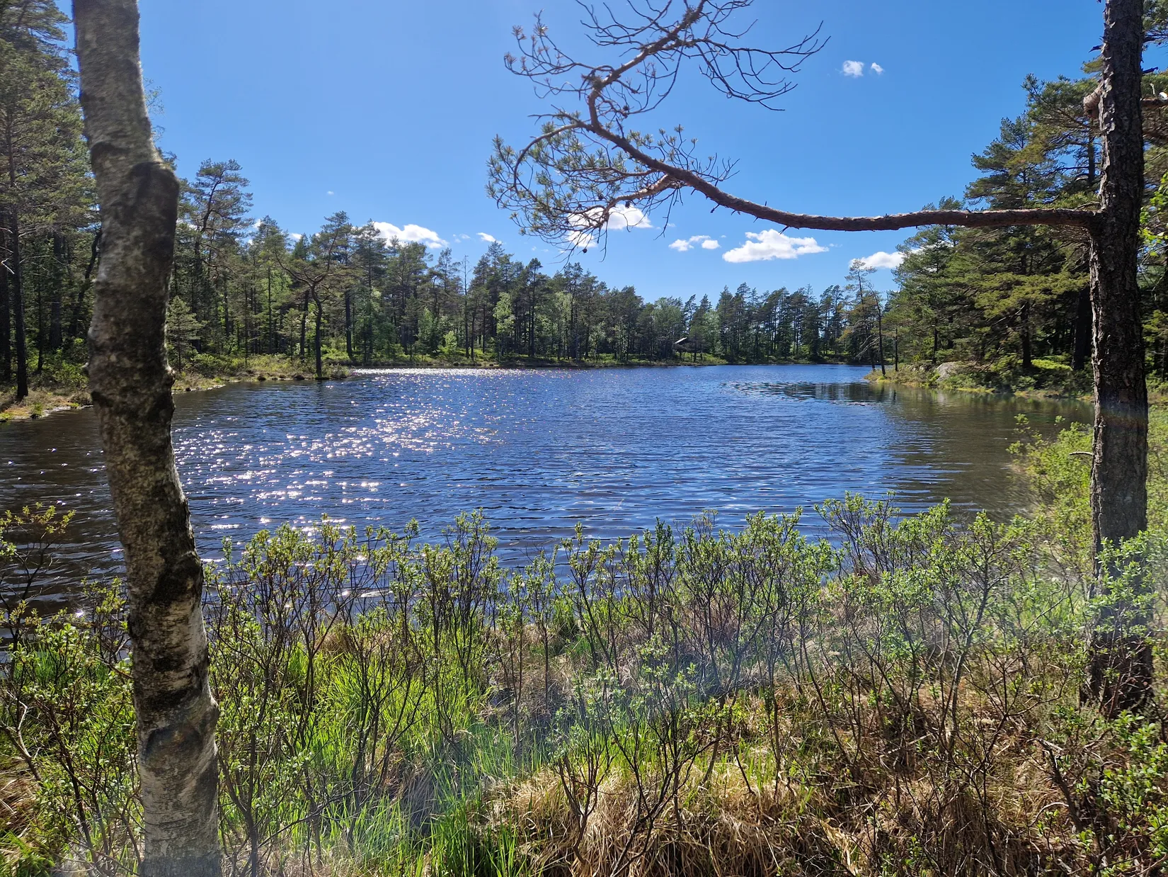 Gård/Skog, Illesäter 3, Färgelanda