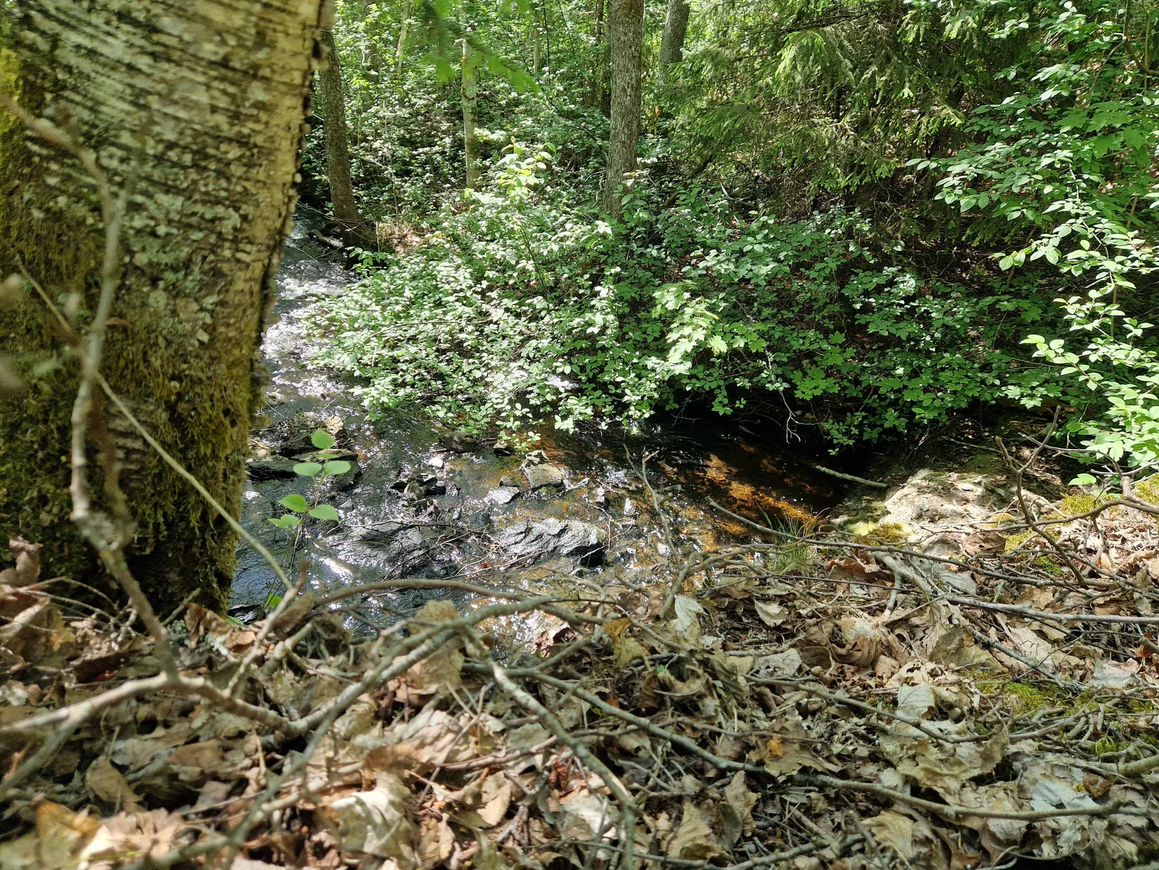 Gård/Skog, Illesäter 3, Färgelanda