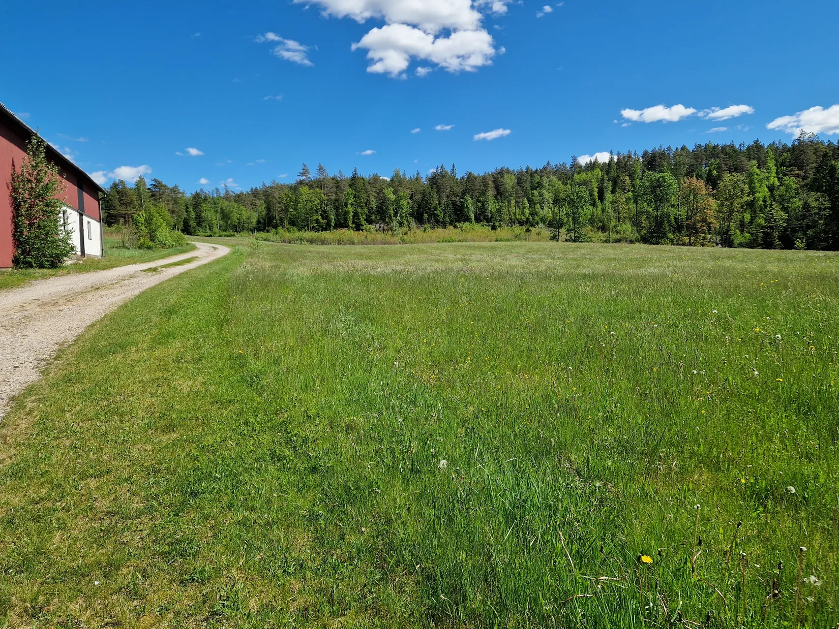 Gård/Skog, Illesäter 3, Färgelanda