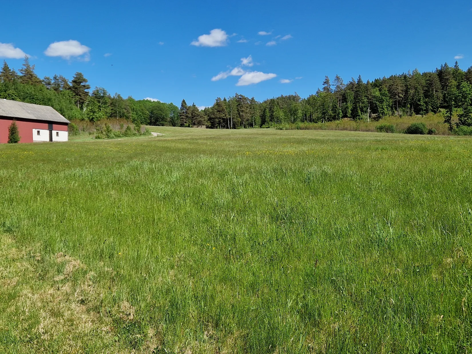 Gård/Skog, Illesäter 3, Färgelanda