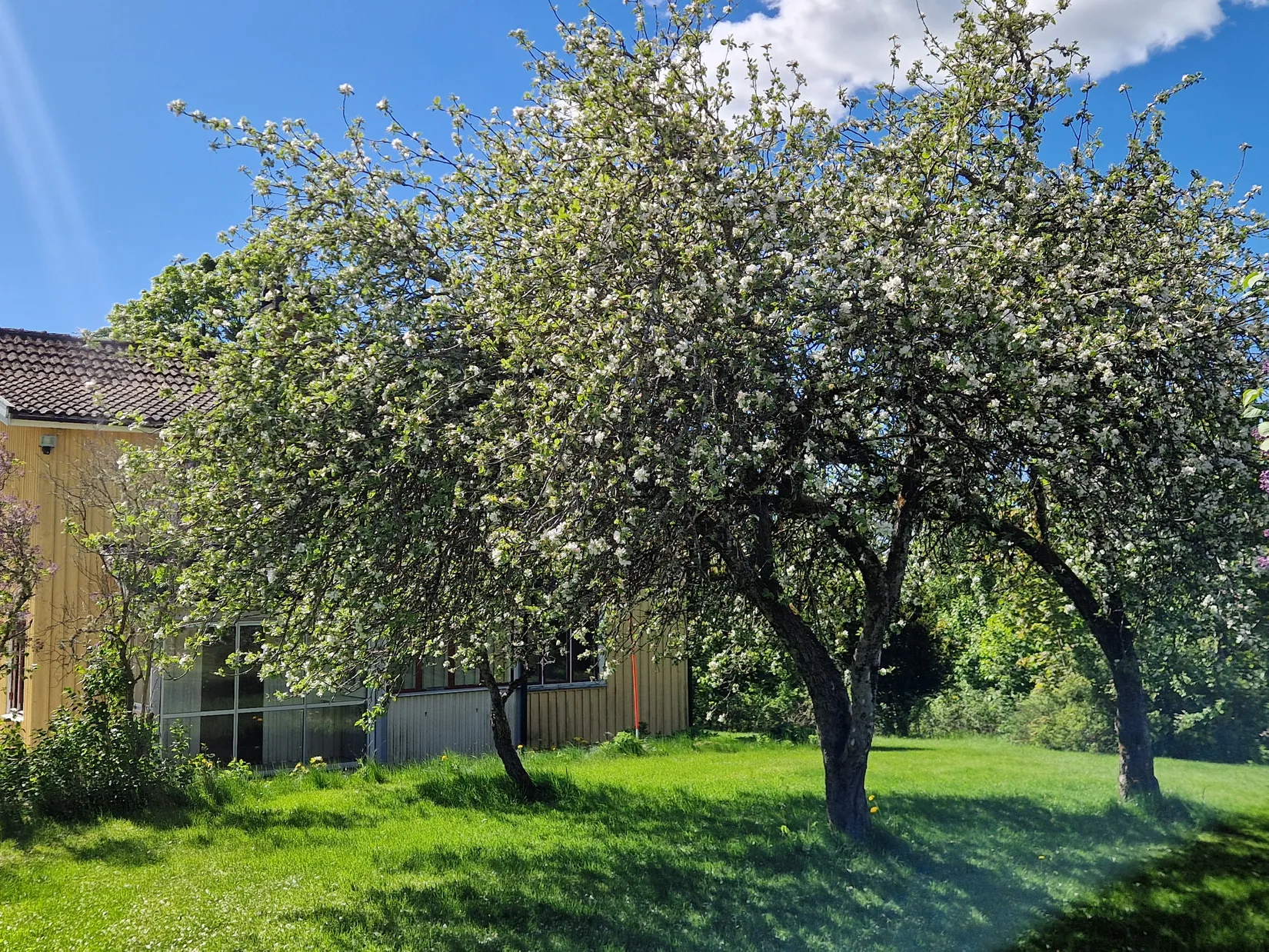 Gård/Skog, Illesäter 3, Färgelanda