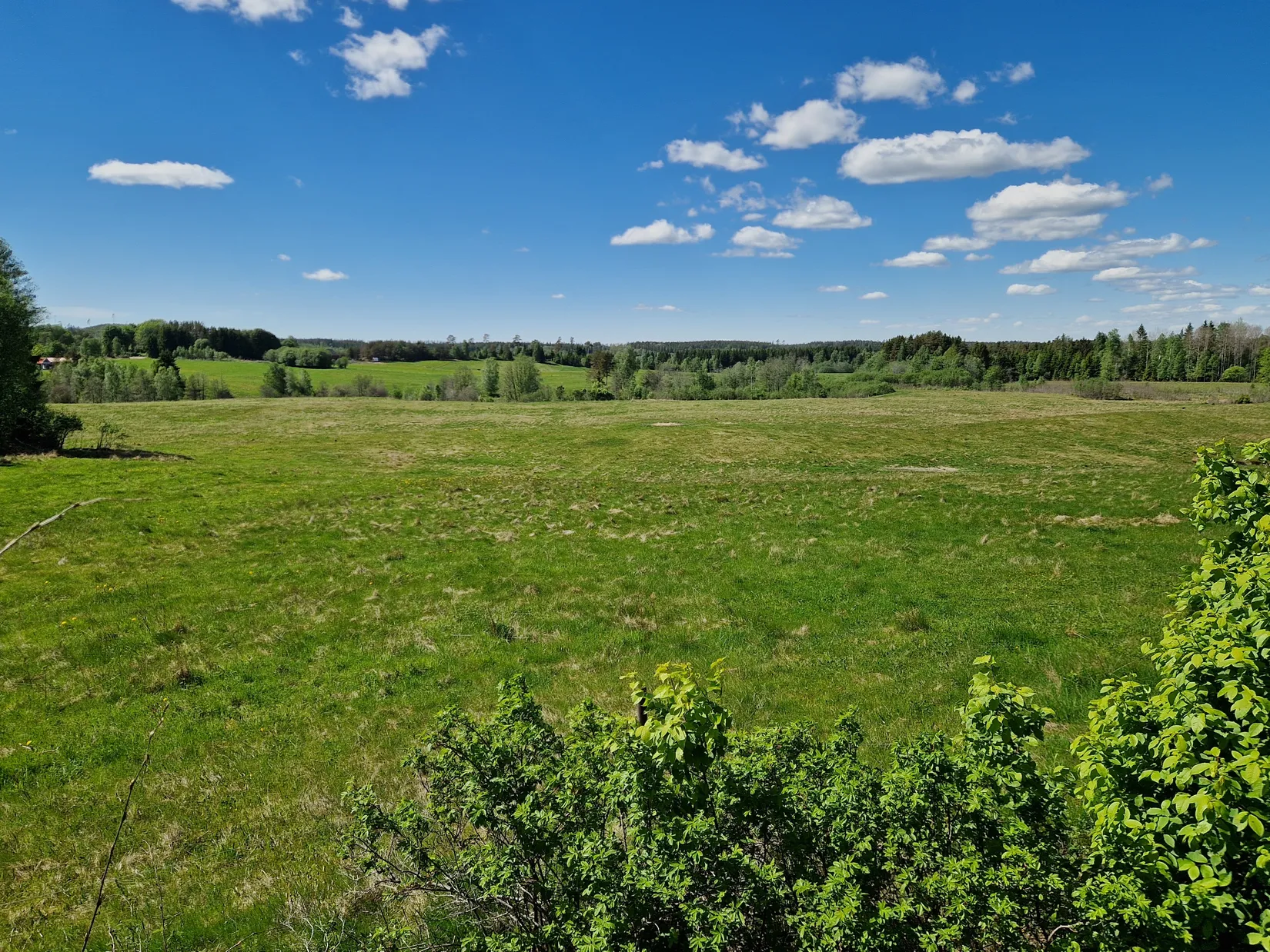 Gård/Skog, Illesäter 3, Färgelanda