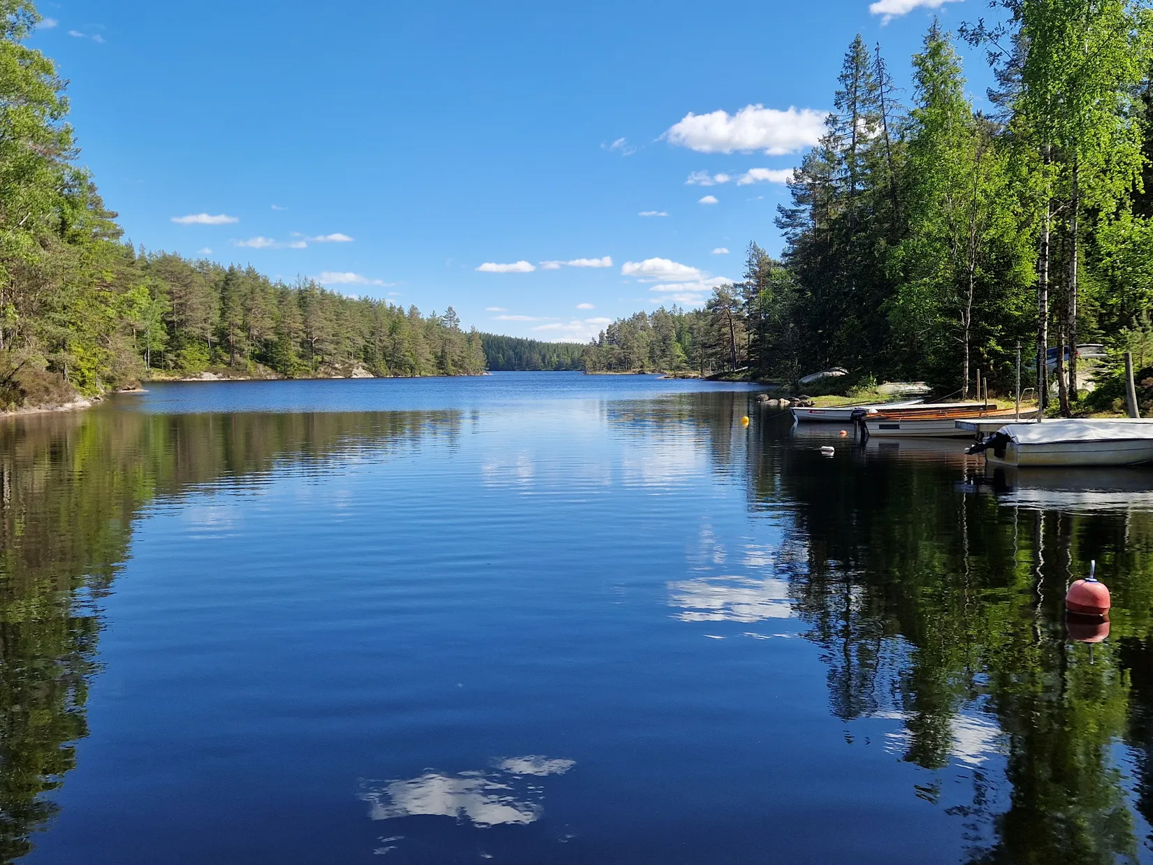 Gård/Skog, Illesäter 3, Färgelanda