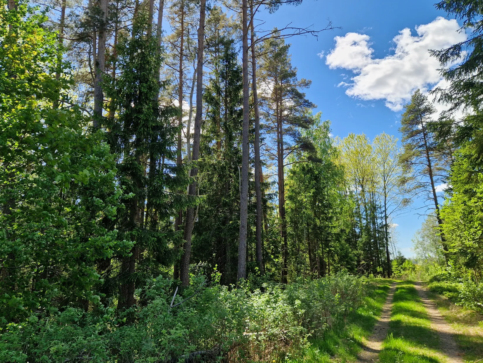 Gård/Skog, Illesäter 3, Färgelanda