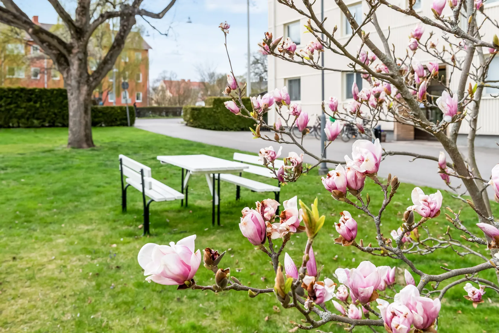 Bostadsrätt, Hagebygatan 43, Söder - Stjärnhusen, Norrköping